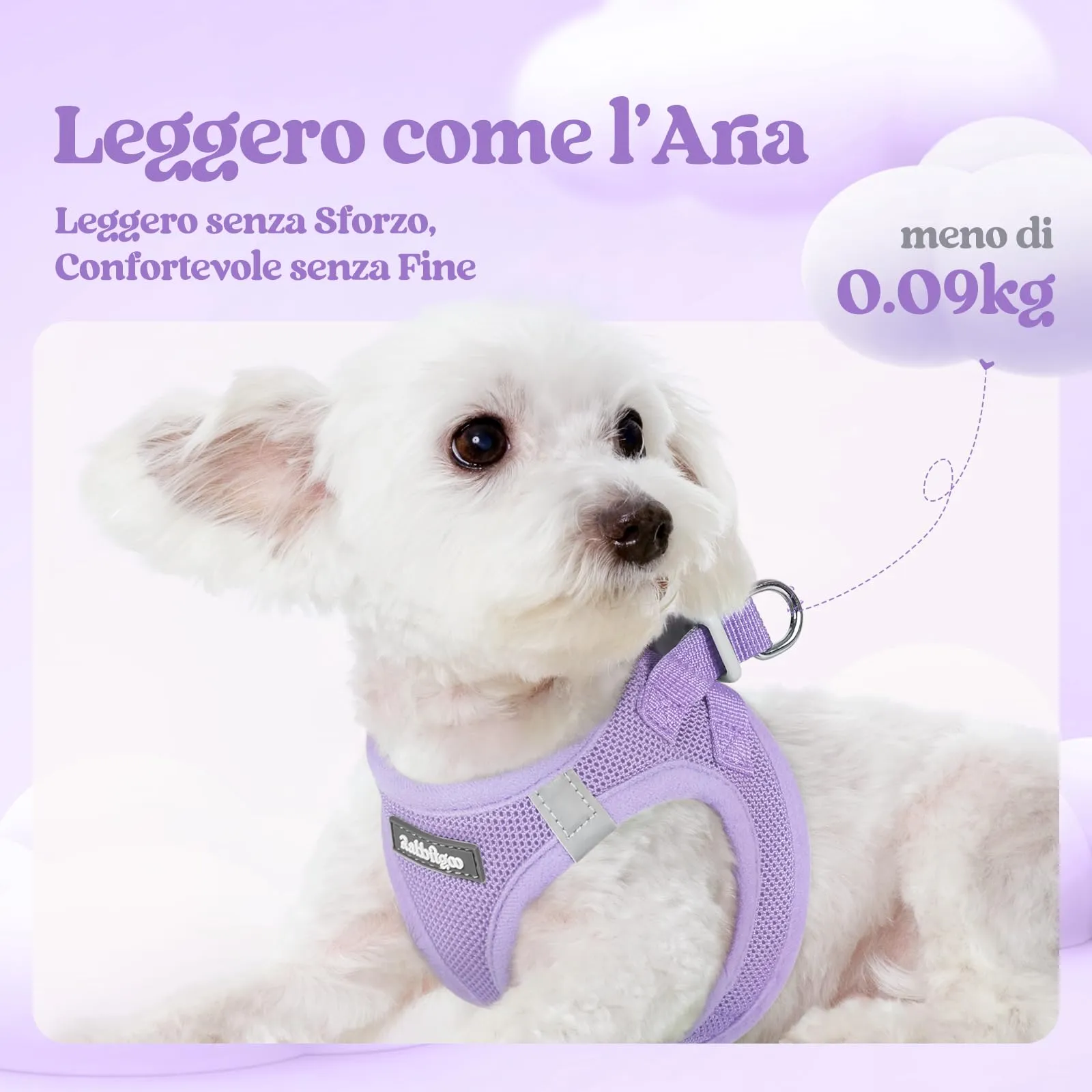 rabbitgoo Pettorina Cane Taglia Piccola con Guinzaglio, Lilla XS - immagine 3