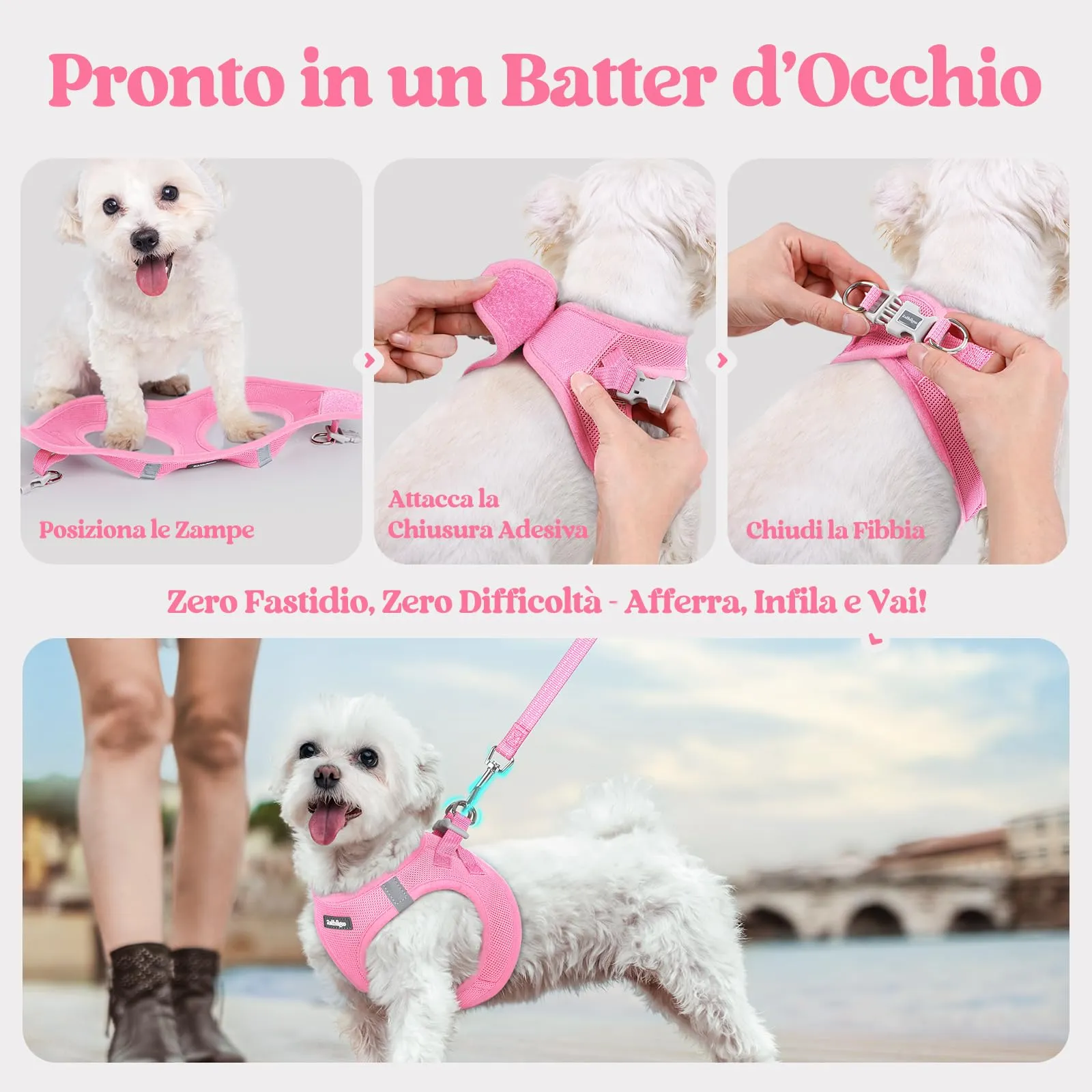 rabbitgoo Pettorina Cane Taglia Piccola con Guinzaglio, Rosa M - immagine 8