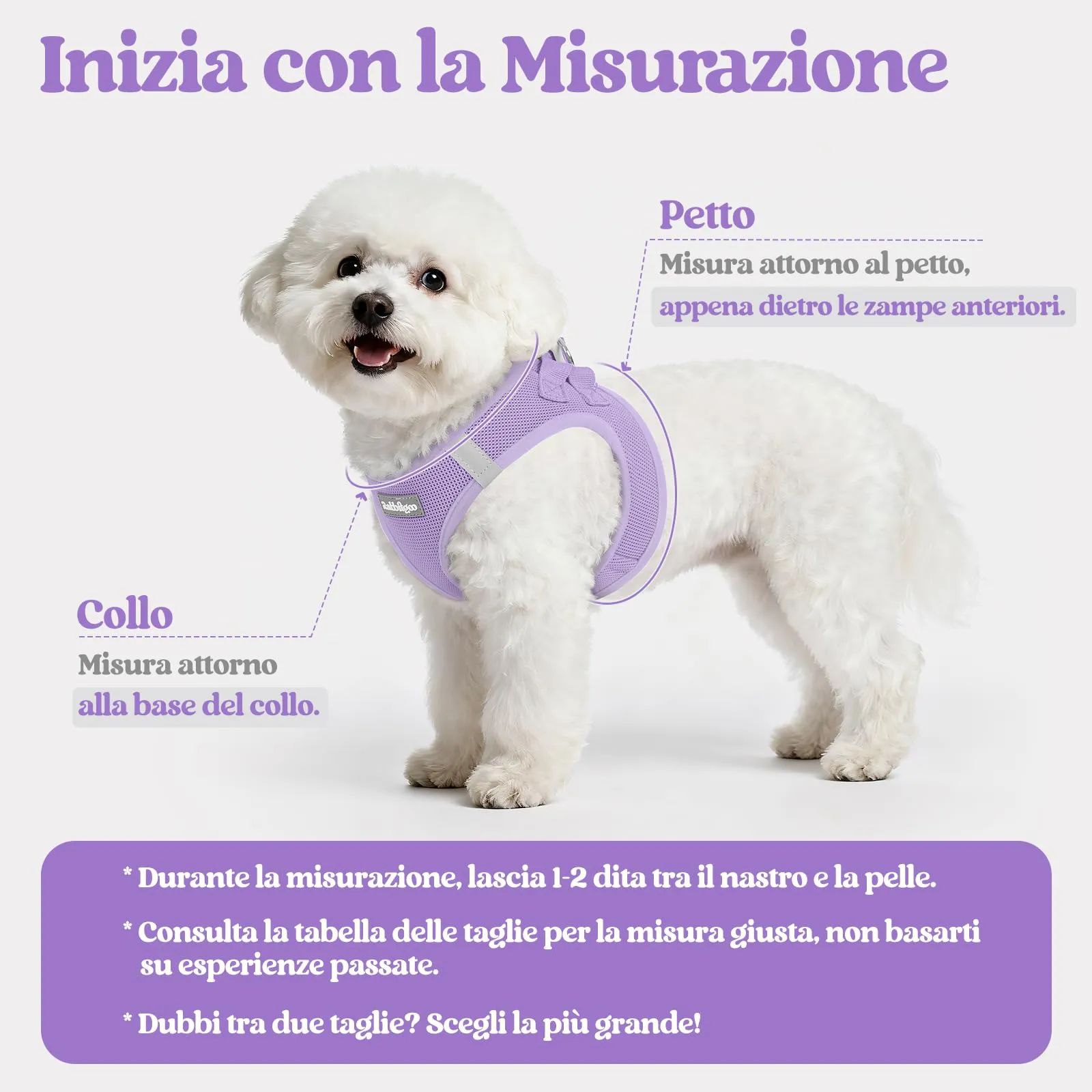 rabbitgoo Pettorina Cane Taglia Piccola con Guinzaglio, Lilla L - immagine 2