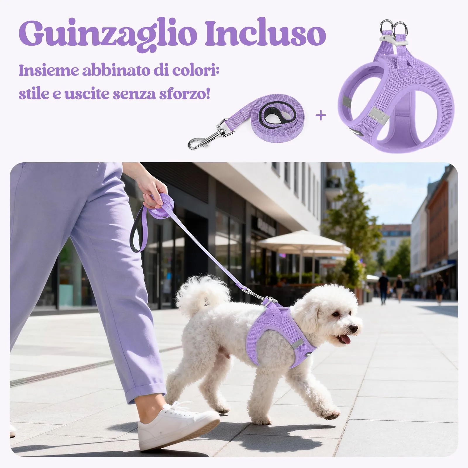 rabbitgoo Pettorina Cane Taglia Piccola con Guinzaglio, Lilla L - immagine 6