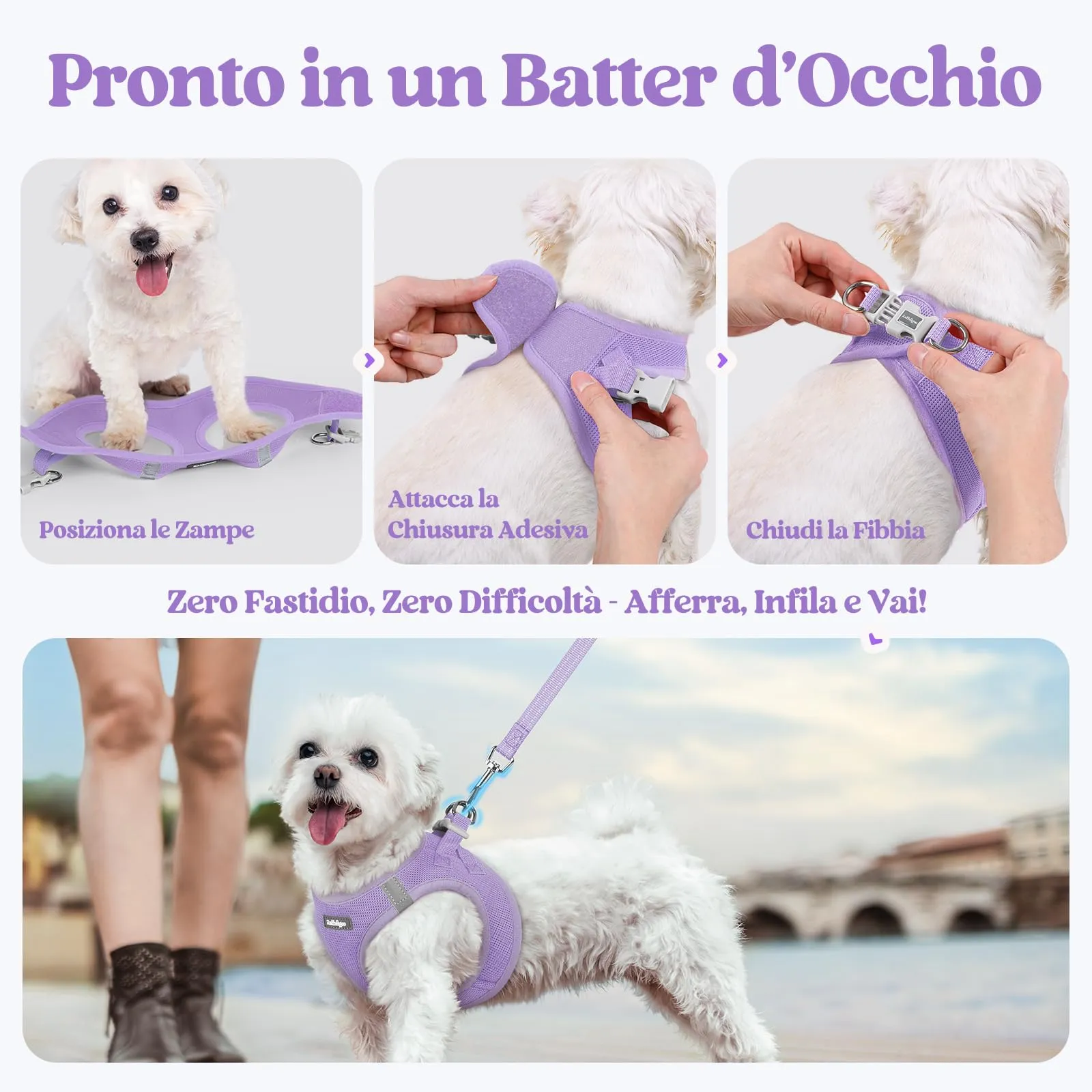 rabbitgoo Pettorina Cane Taglia Piccola con Guinzaglio, Lilla L - immagine 8