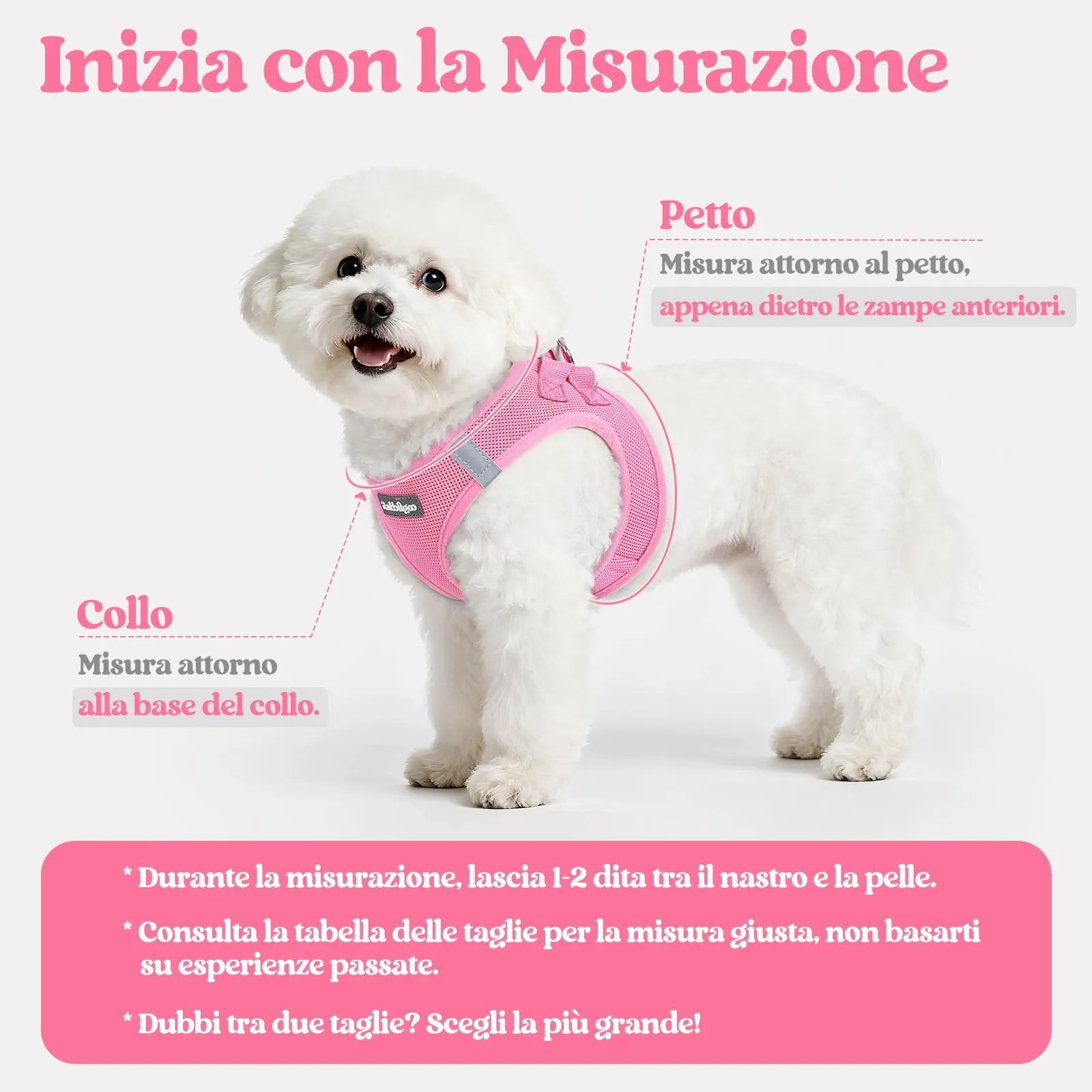 rabbitgoo Pettorina Cane Taglia Piccola con Guinzaglio, Rosa XS - immagine 2