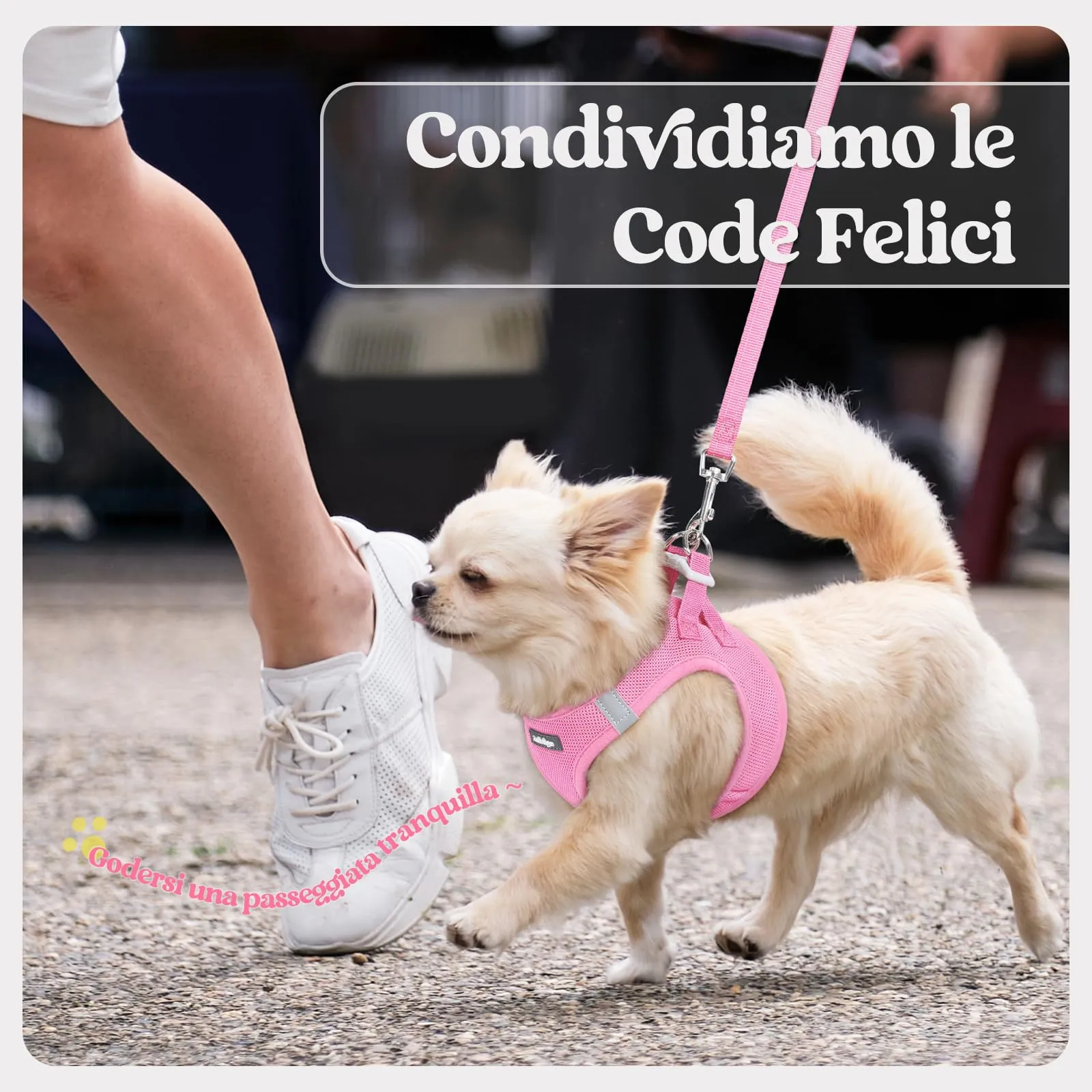 rabbitgoo Pettorina Cane Taglia Piccola con Guinzaglio, Rosa XS - immagine 9