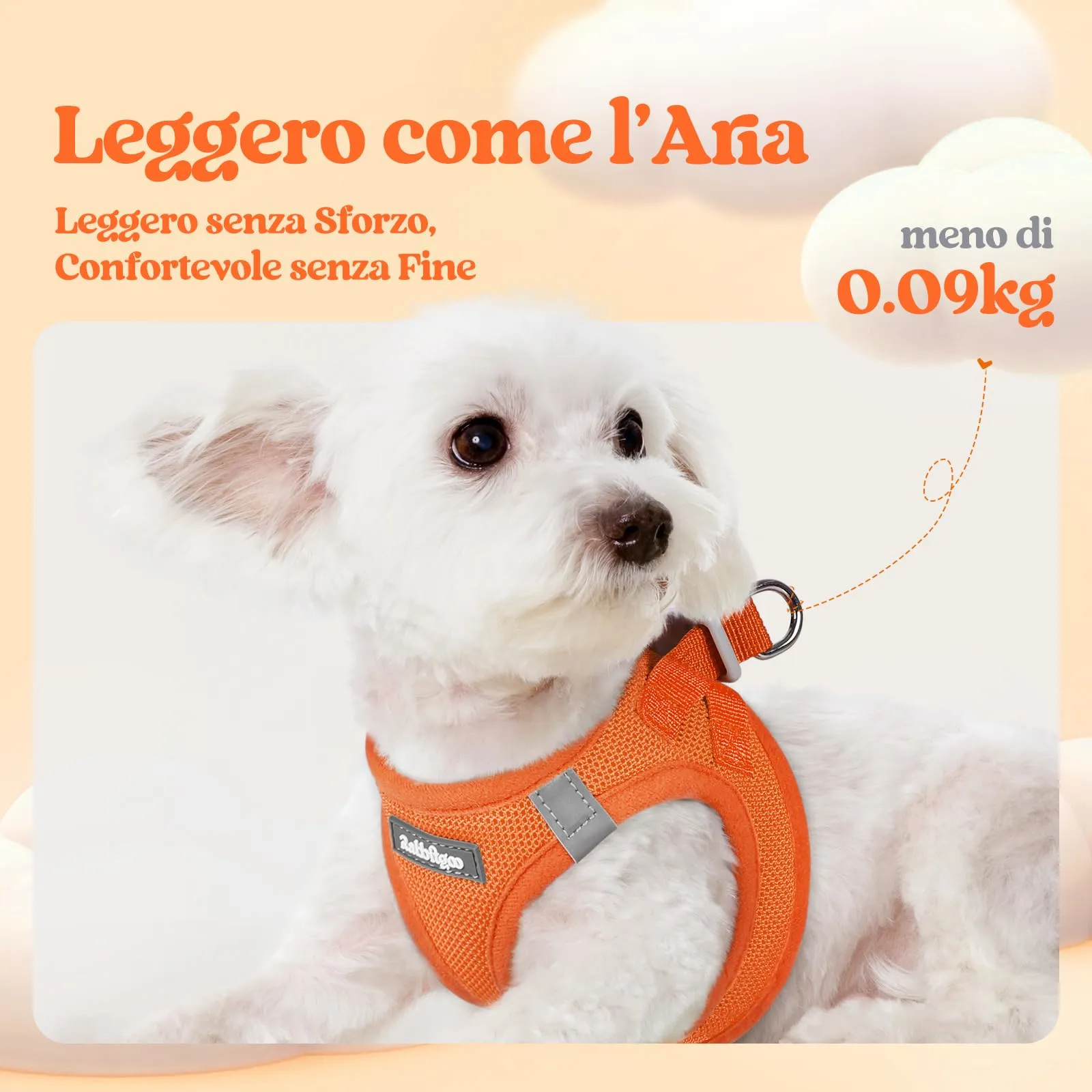 rabbitgoo Pettorina Cane Taglia Piccola con Guinzaglio, Arancione S - immagine 3