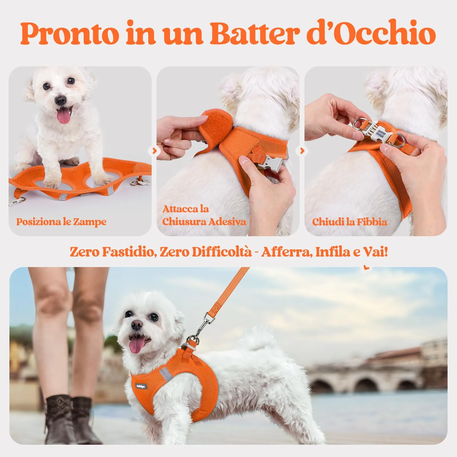 rabbitgoo Pettorina Cane Taglia Piccola con Guinzaglio, Arancione S - immagine 8