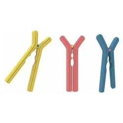 Schiaccianoci Rompy Resina plastica Assortito 04GD297 6 - immagine 1