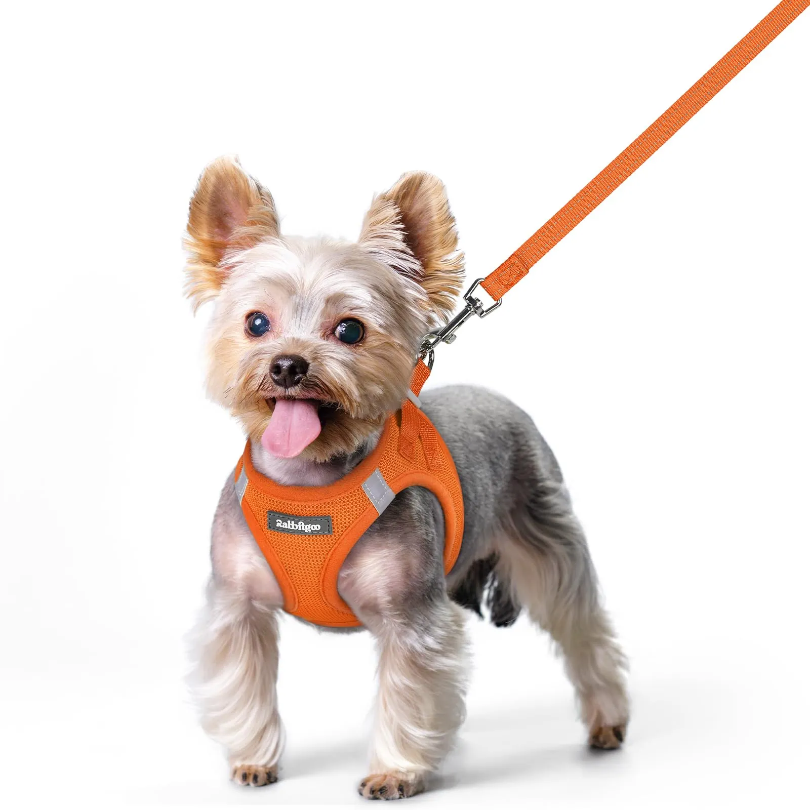 rabbitgoo Pettorina Cane Taglia Piccola con Guinzaglio, Arancione XS - immagine 1