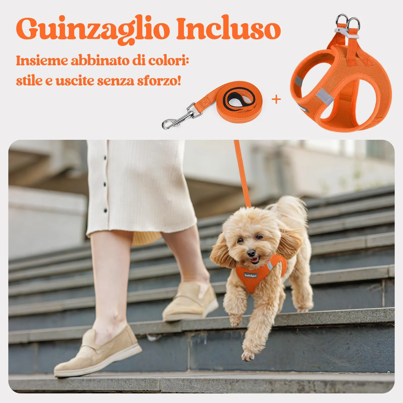 rabbitgoo Pettorina Cane Taglia Piccola con Guinzaglio, Arancione XS - immagine 6