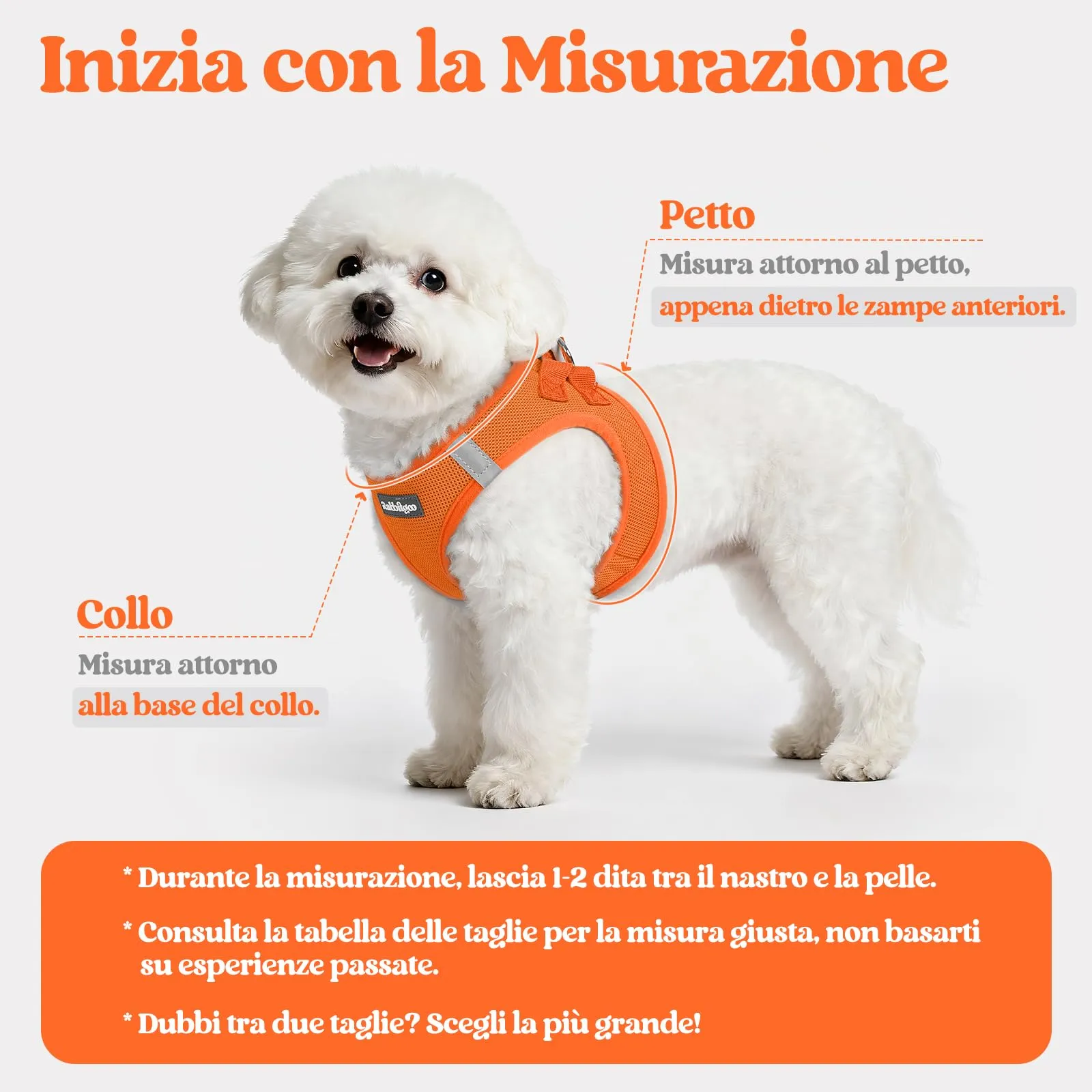 rabbitgoo Pettorina Cane Taglia Piccola con Guinzaglio, Arancione M - immagine 2