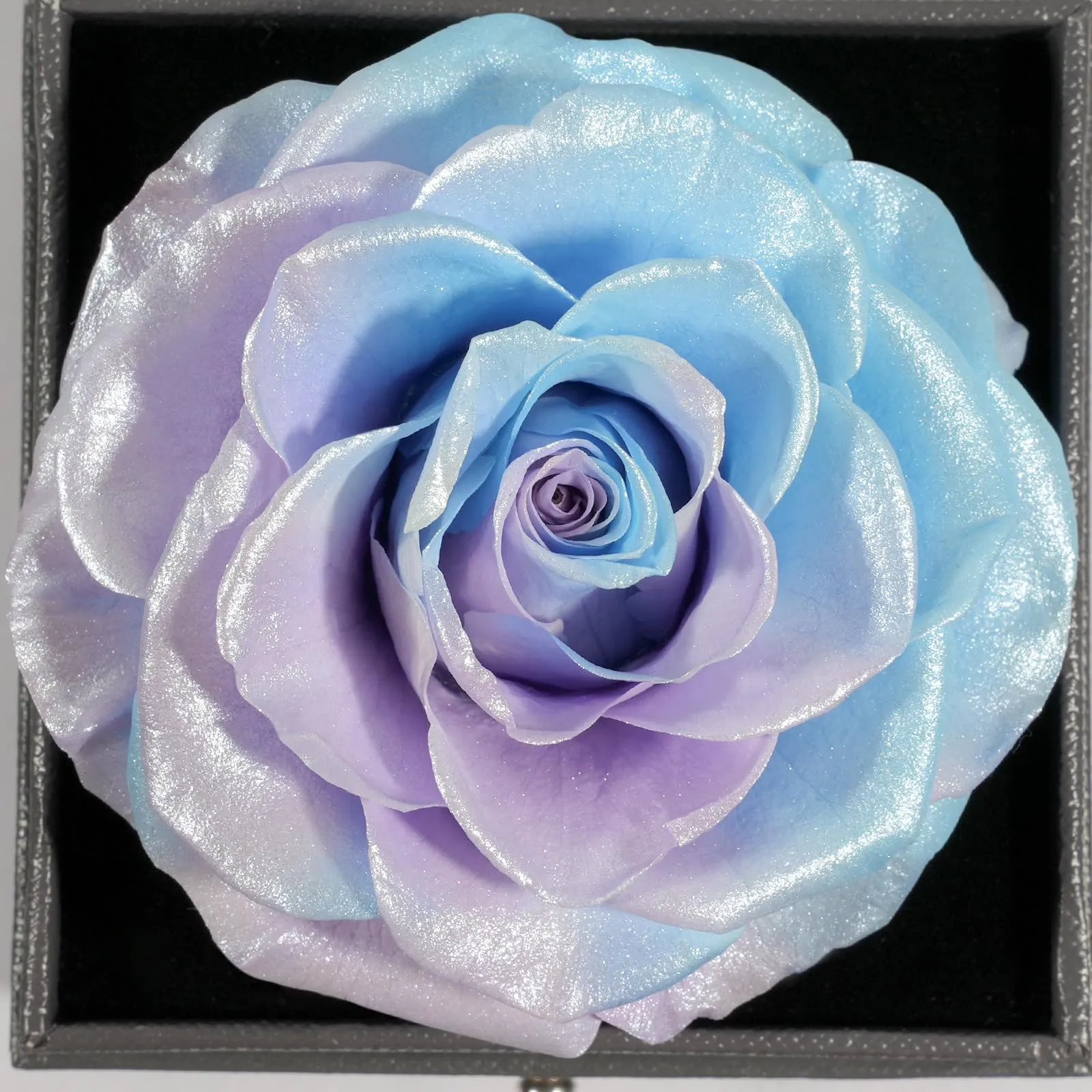 Miofula Rosa Stabilizzata Regalo Donna Compleanno,Rosa Eterna con Collana Orecchini Donna Argento,Rose Stabilizzate Regali Mamma Nonna,Fiori Scatola Regalo Fidanzata Natale San Valentino Anniversario - immagine 9