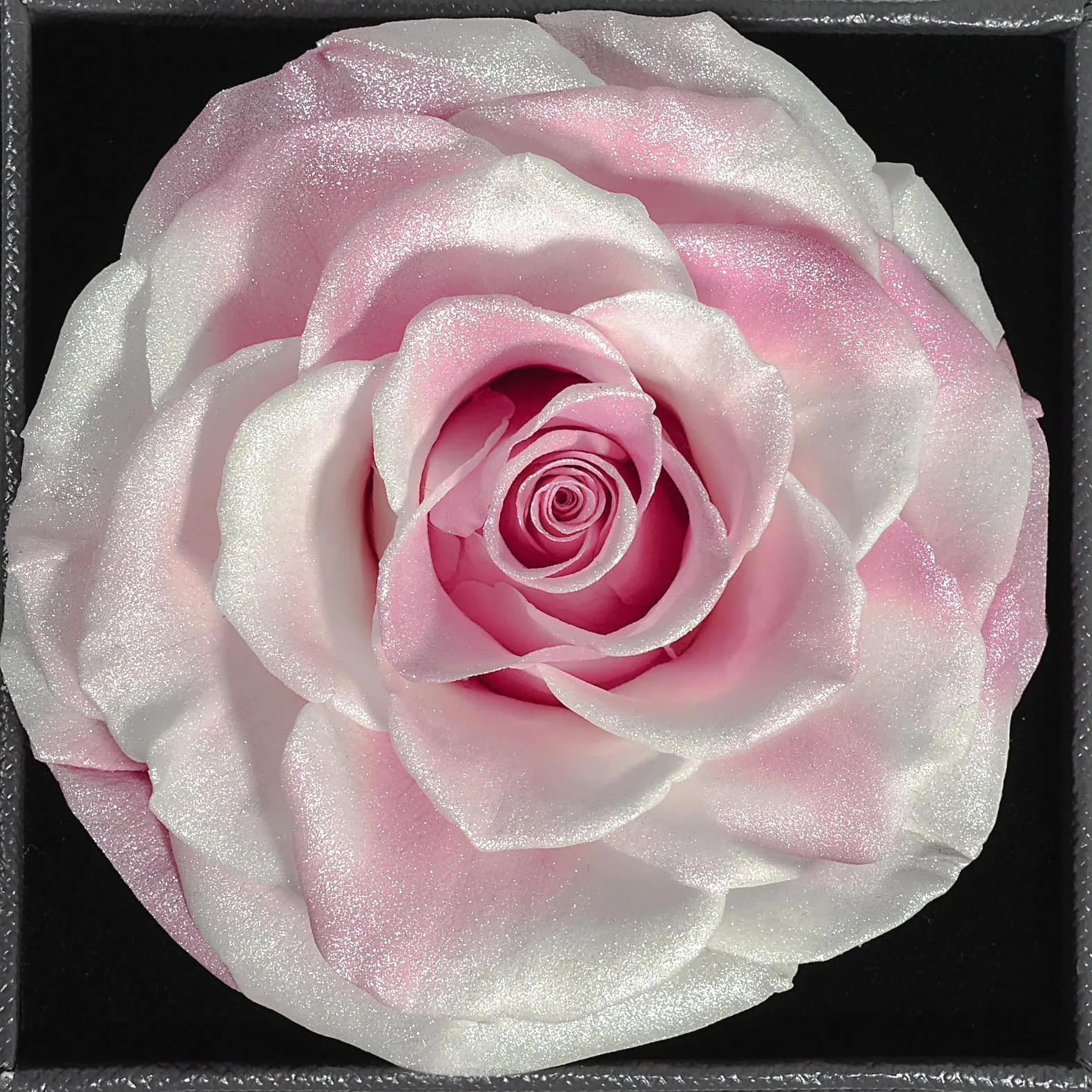 Miofula Rosa Stabilizzata Regalo Donna Compleanno,Rosa Eterna con Collana Orecchini Donna Argento,Rose Stabilizzate Regali Mamma Nonna,Fiori Scatola Regalo Fidanzata Natale San Valentino Anniversario - immagine 9