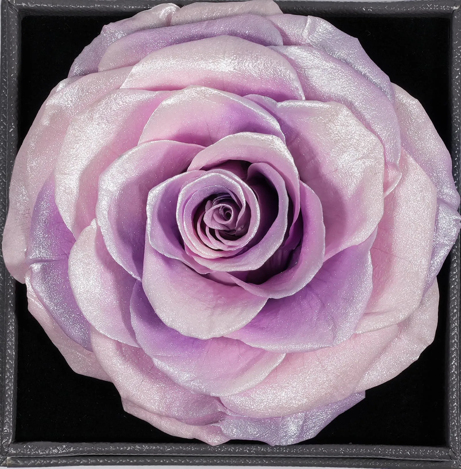 Miofula Rosa Stabilizzata Regalo Donna Compleanno,Rosa Eterna con Collana Orecchini Donna Argento,Rose Stabilizzate Regali Mamma Nonna,Fiori Scatola Regalo Fidanzata Natale San Valentino Anniversario - immagine 9