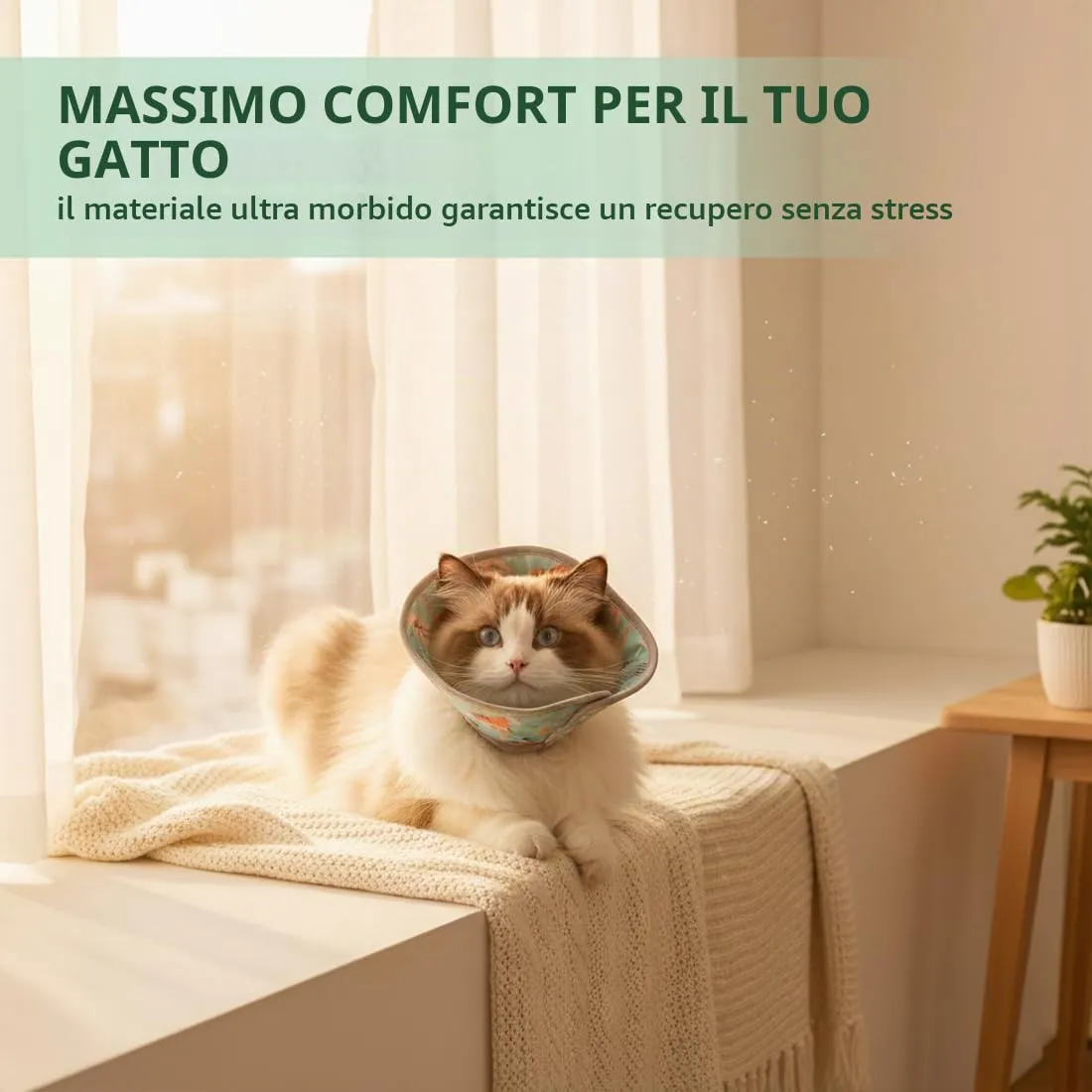 JYXNU Collare Elisabettiano Gatto, Regolabile Collare Elisabettiano, Protettivo per Dopo Chirurgia, Leccatura Anti-morso, Regolabile Morbido Collare Cane,Collare Anti Morso o Leccato (23-30cm, L) - immagine 2