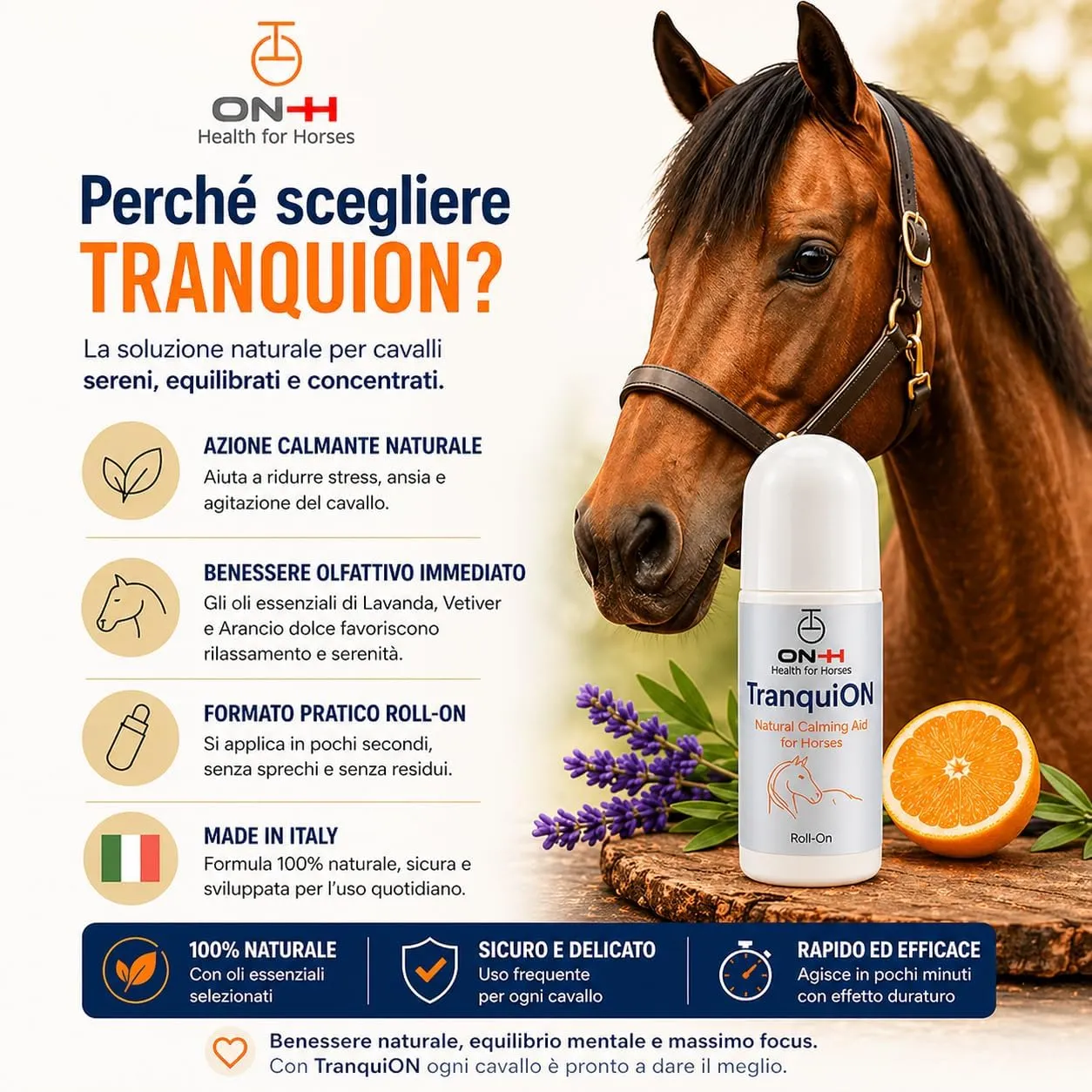 ON-H TranquiON Roll-On per Cavalli | Gel Rilassante Naturale Antistress | Applicazione Localizzata - Ideale Prima di Trasporto, Gara e Lavoro | azione Calmante senza Sedazione | Uso Quotidiano - immagine 3