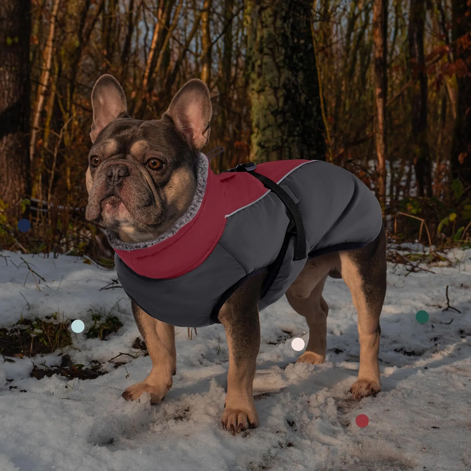 IECOii Giacca invernale in pile a collo alto per cani di taglia piccola e grande - immagine 7