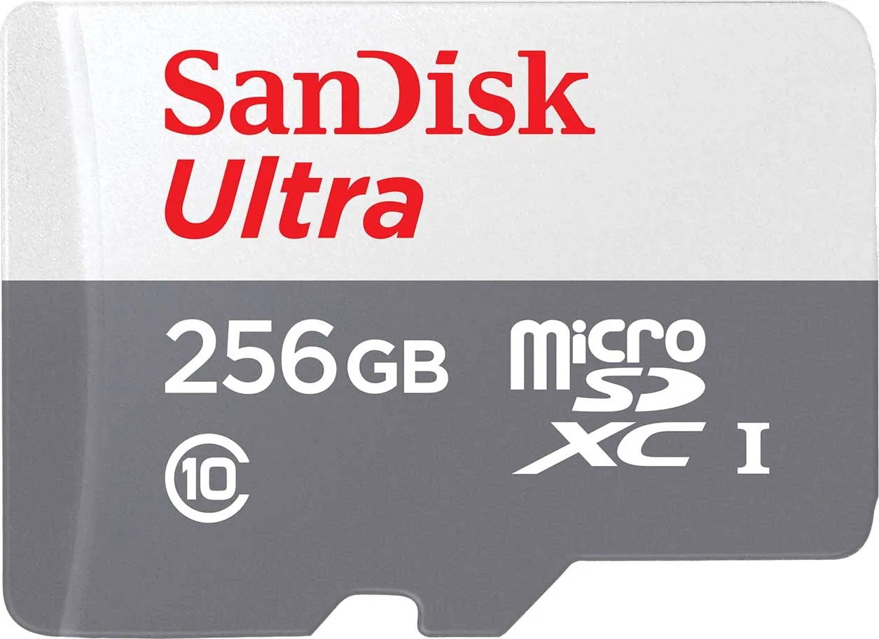 Scheda di Memoria microSDXC SanDisk Ultra, 256Gb, Classe 10 SDSQUNR-256G-GN3MN - immagine 1