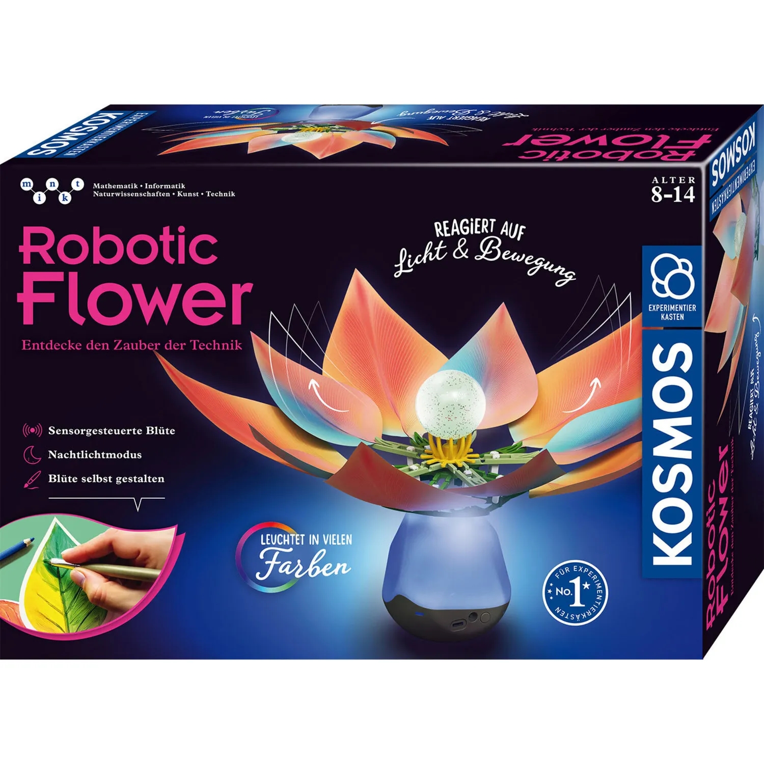 Fiore Robotico, Casella di esperimento - immagine 1