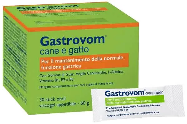 Gastrovom 30 stick pack - immagine 1
