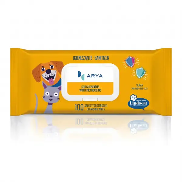 Arya salviette igieniche umidificate detergenti Multiuso 100 salviette Clorexidina - confezione da 6 pezzi - immagine 1