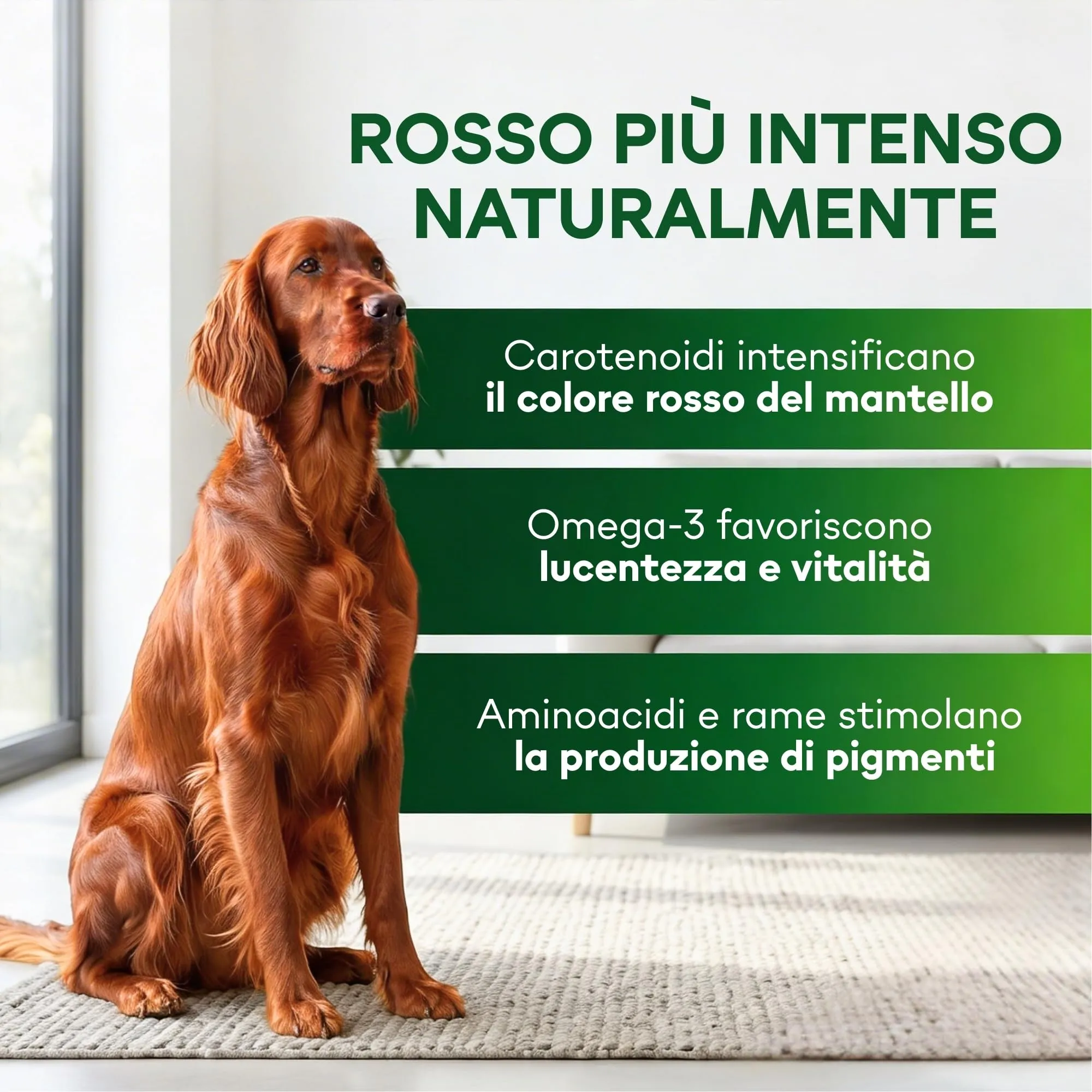 Nature's Protection Superior Care Umido cani manto rosso, Salmone 12 x 85 g - immagine 2