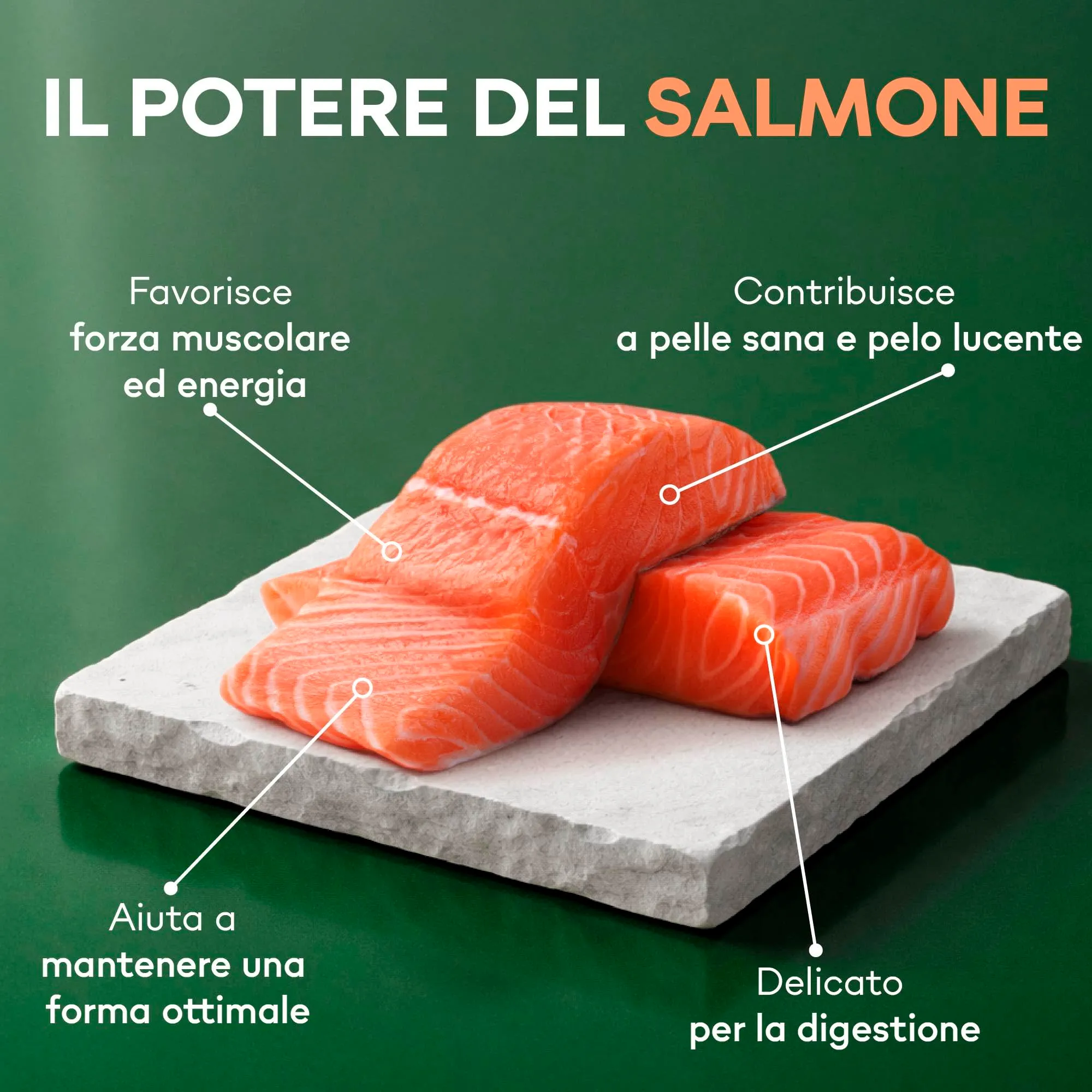 Nature's Protection Superior Care Umido cani manto rosso, Salmone 12 x 85 g - immagine 4