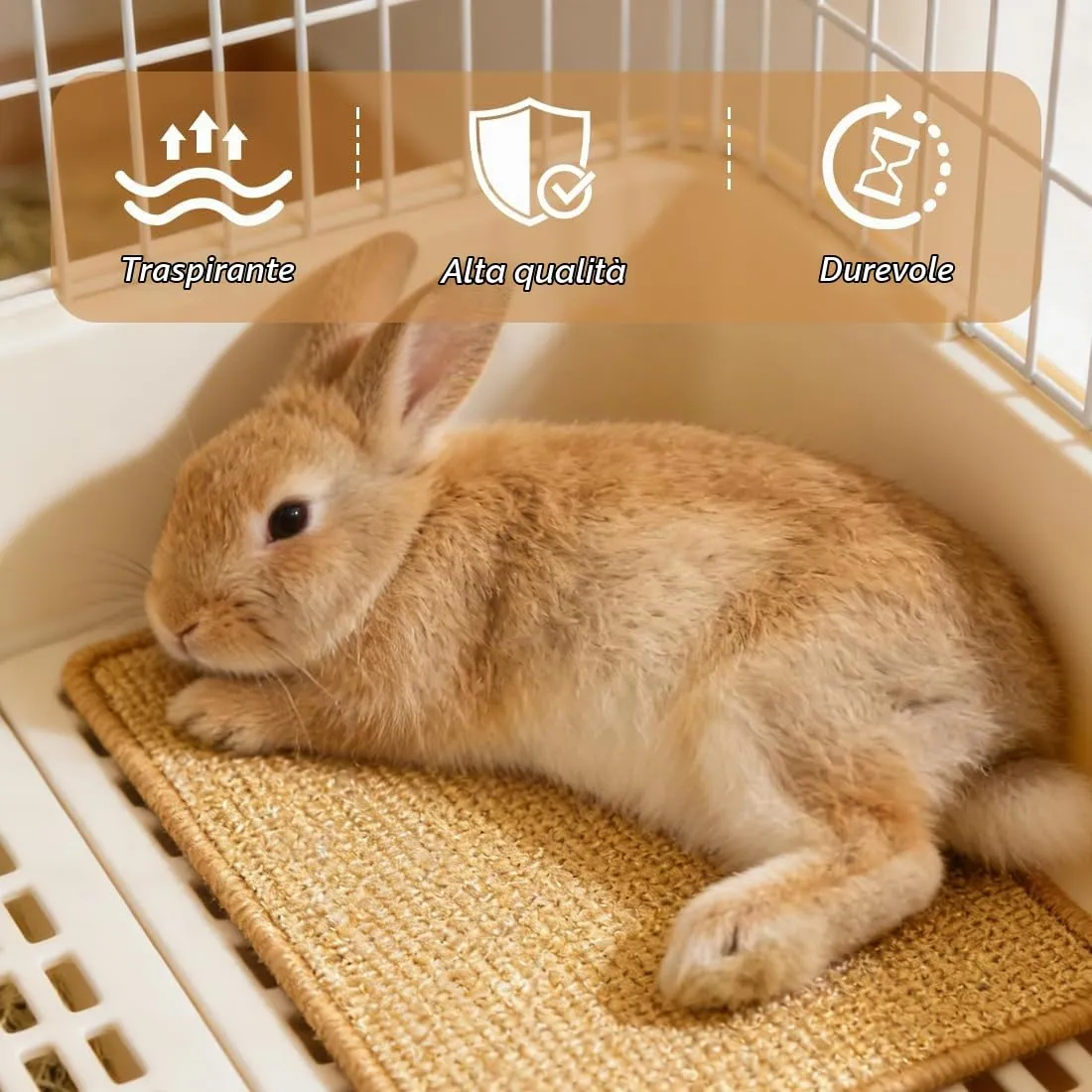 Tappetino in Sisal Naturale per Piccoli Animali con Base Adesiva, 20x40 cm per Conigli e Criceti - Per Grattarsi, Rosicchiare e Riposare Letto per Conigli per Riposo, Nido e Relax - immagine 4