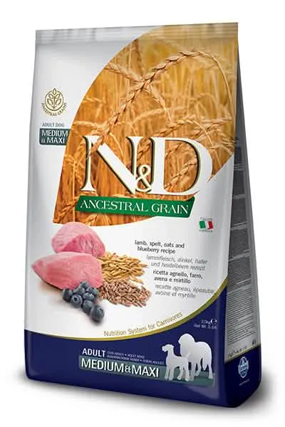 N&d ancestral grain dog lamb & blueberry adult medium/maxi 12 kg - immagine 1