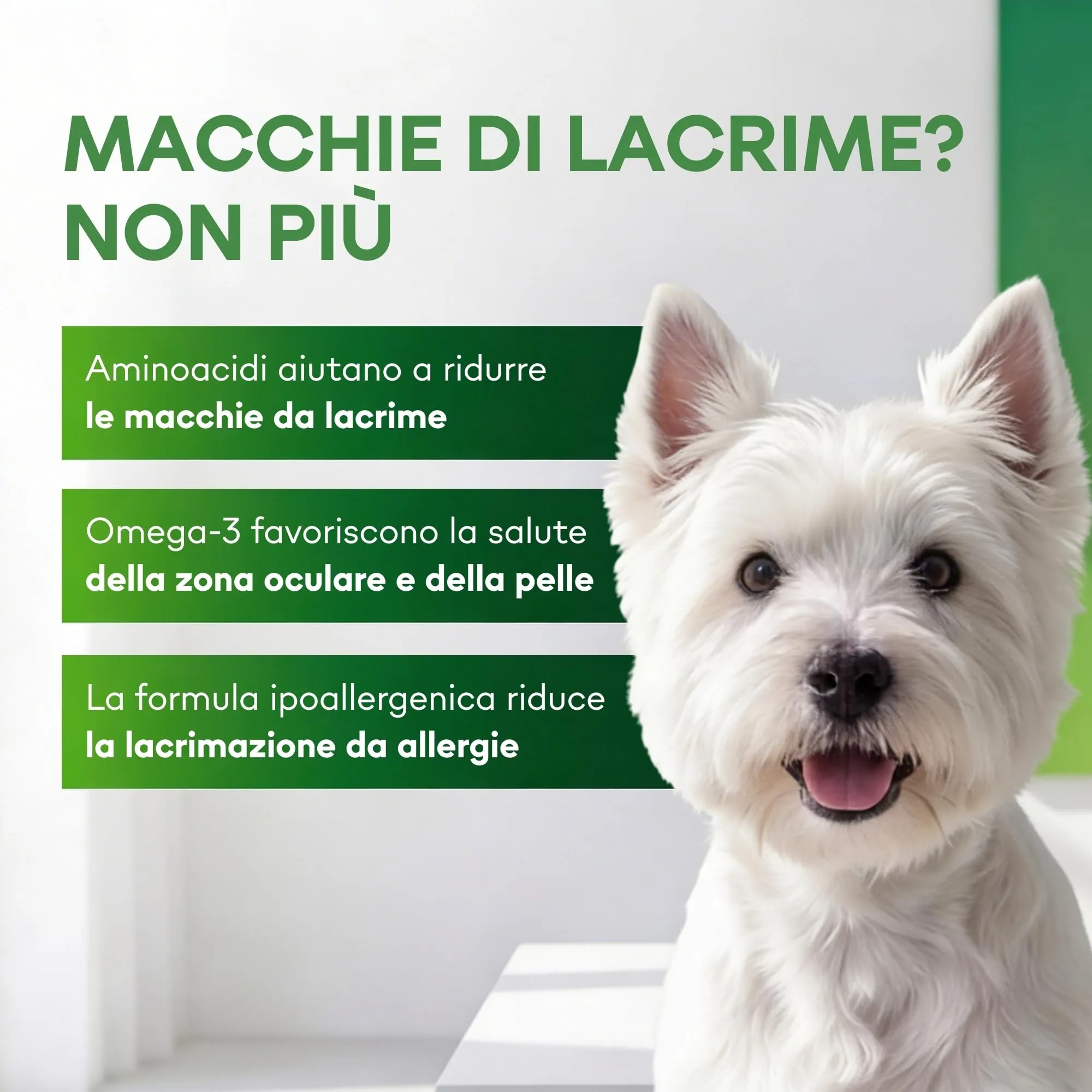 Nature's Protection Superior Care Umido cani, Pesce bianco 12 x 85 g - immagine 2