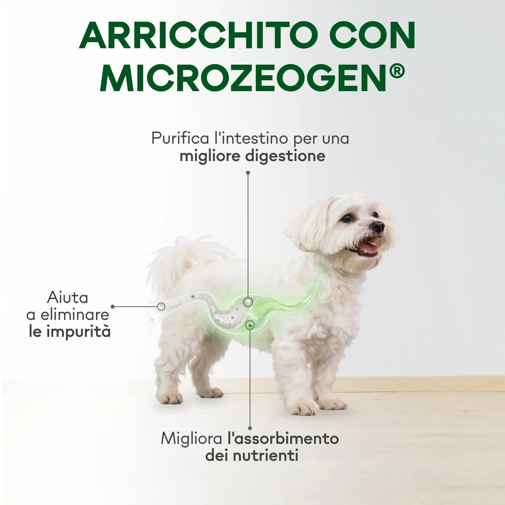 Nature's Protection Superior Care Umido cani, Pesce bianco 12 x 85 g - immagine 3
