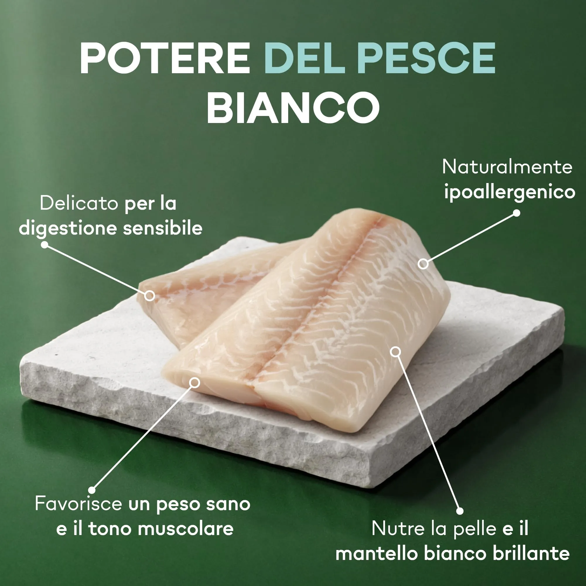 Nature's Protection Superior Care Umido cani, Pesce bianco 12 x 85 g - immagine 4