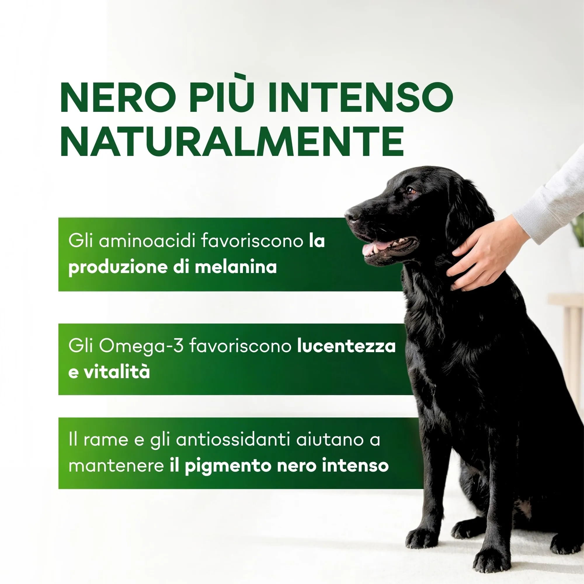 Nature's Protection Superior Care Umido cani manto scuro, Trota 12 x 85 g - immagine 2