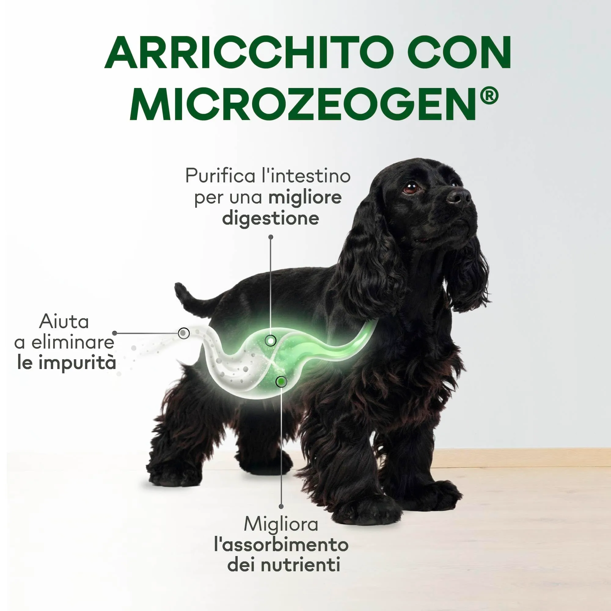 Nature's Protection Superior Care Umido cani manto scuro, Trota 12 x 85 g - immagine 3