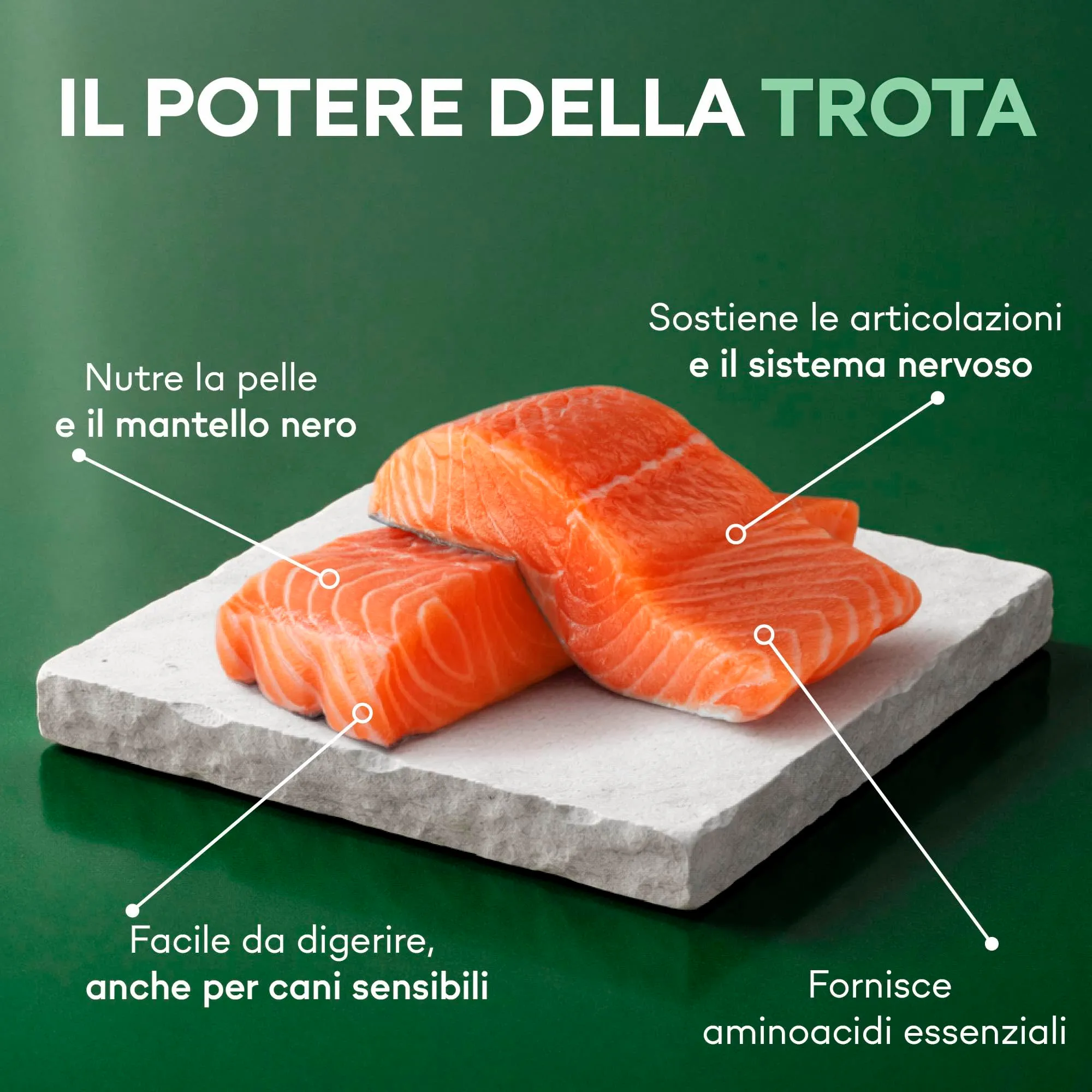 Nature's Protection Superior Care Umido cani manto scuro, Trota 12 x 85 g - immagine 4