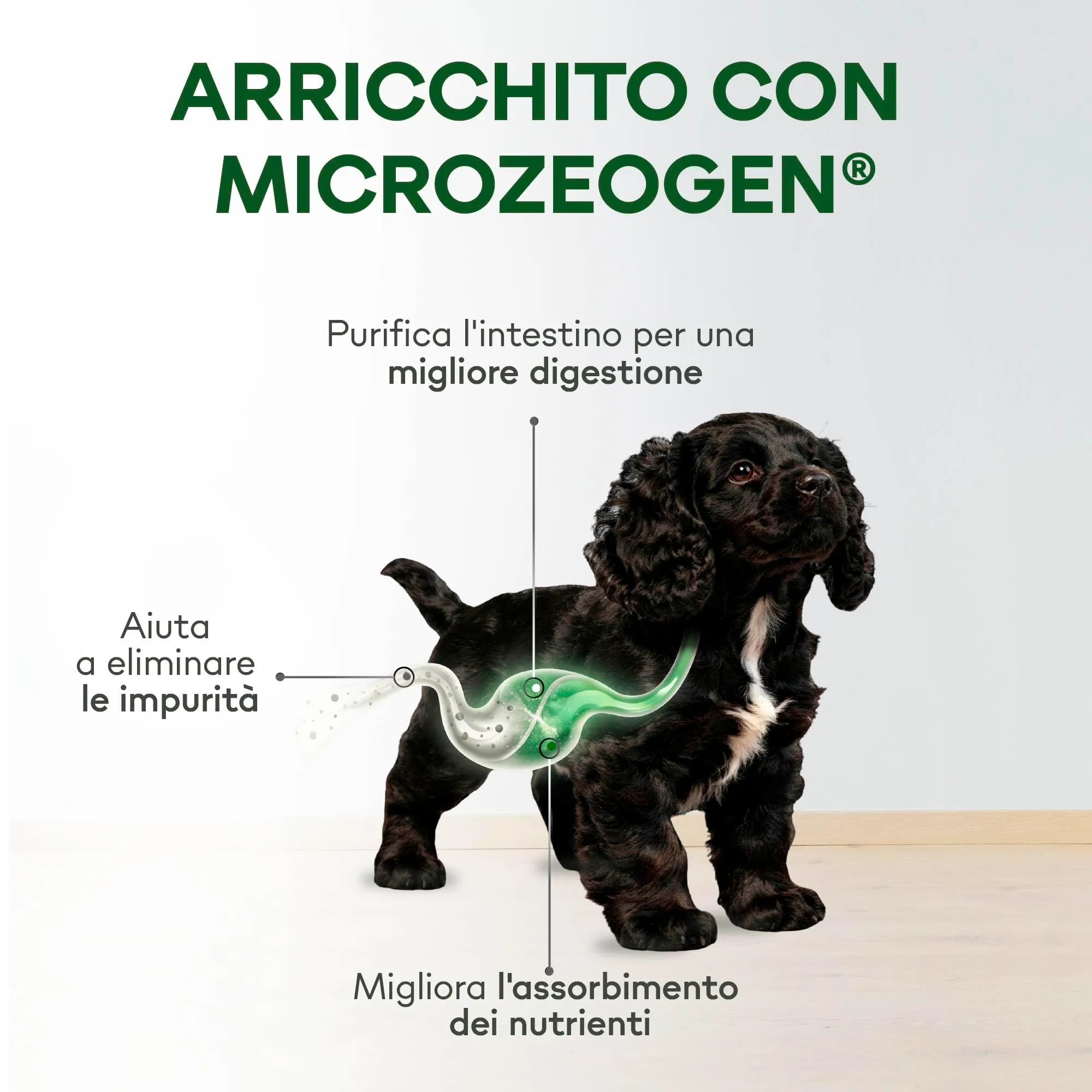 Nature's Protection Superior Care Umido cuccioli, Coniglio 12 x 85 g - immagine 3