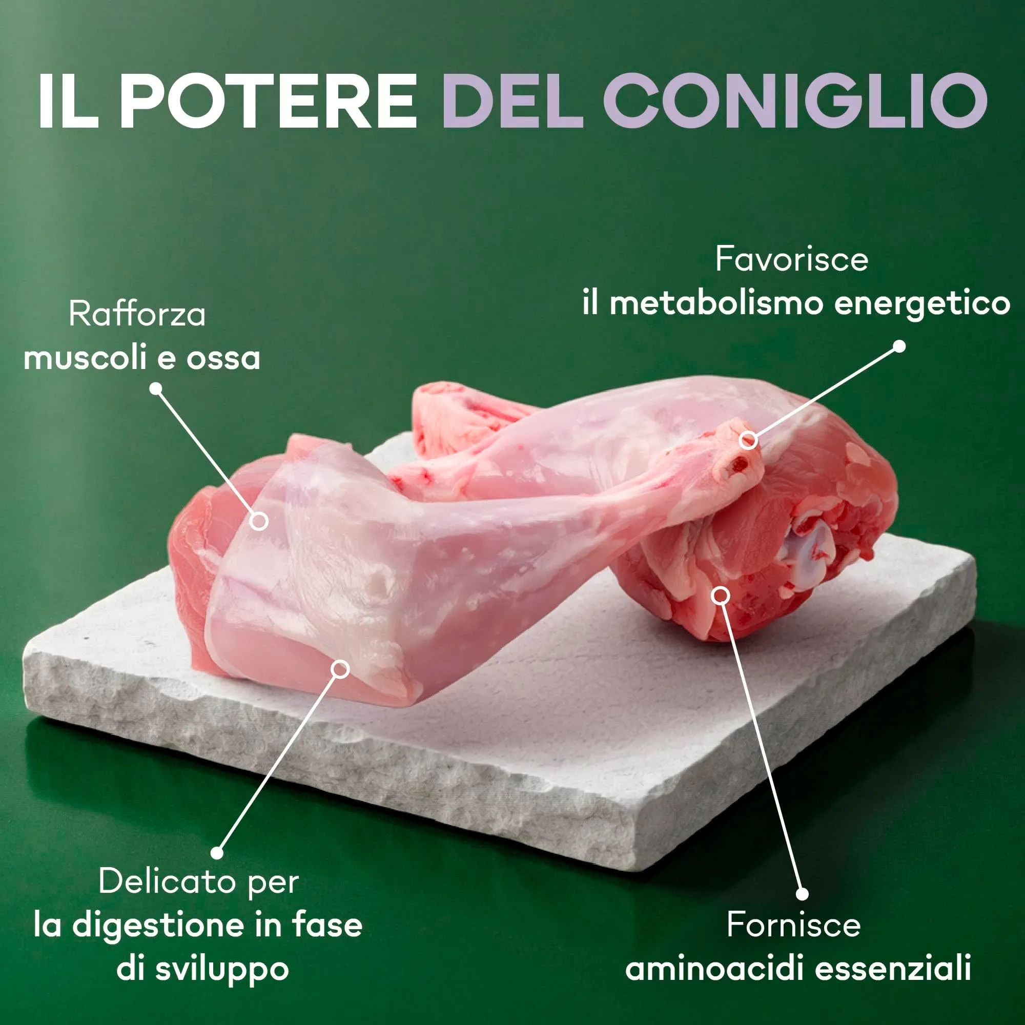 Nature's Protection Superior Care Umido cuccioli, Coniglio 12 x 85 g - immagine 4