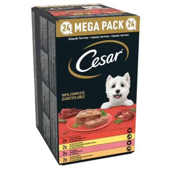 Cesar Dog Terrine Grain Free multipack 24x150 gr 8x Pollo 8x Manzo 8x Agnello 8x Tacchino - immagine 1
