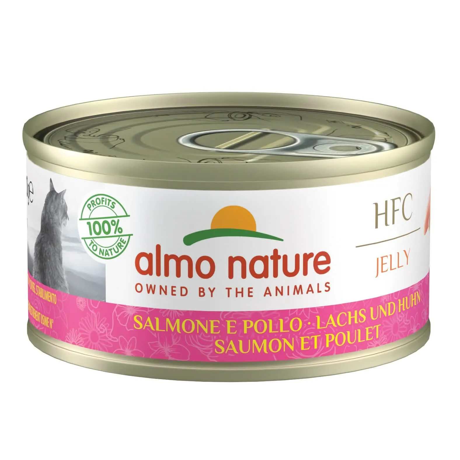 Almo Nature Cat Salmone Pollo 70g - immagine 1