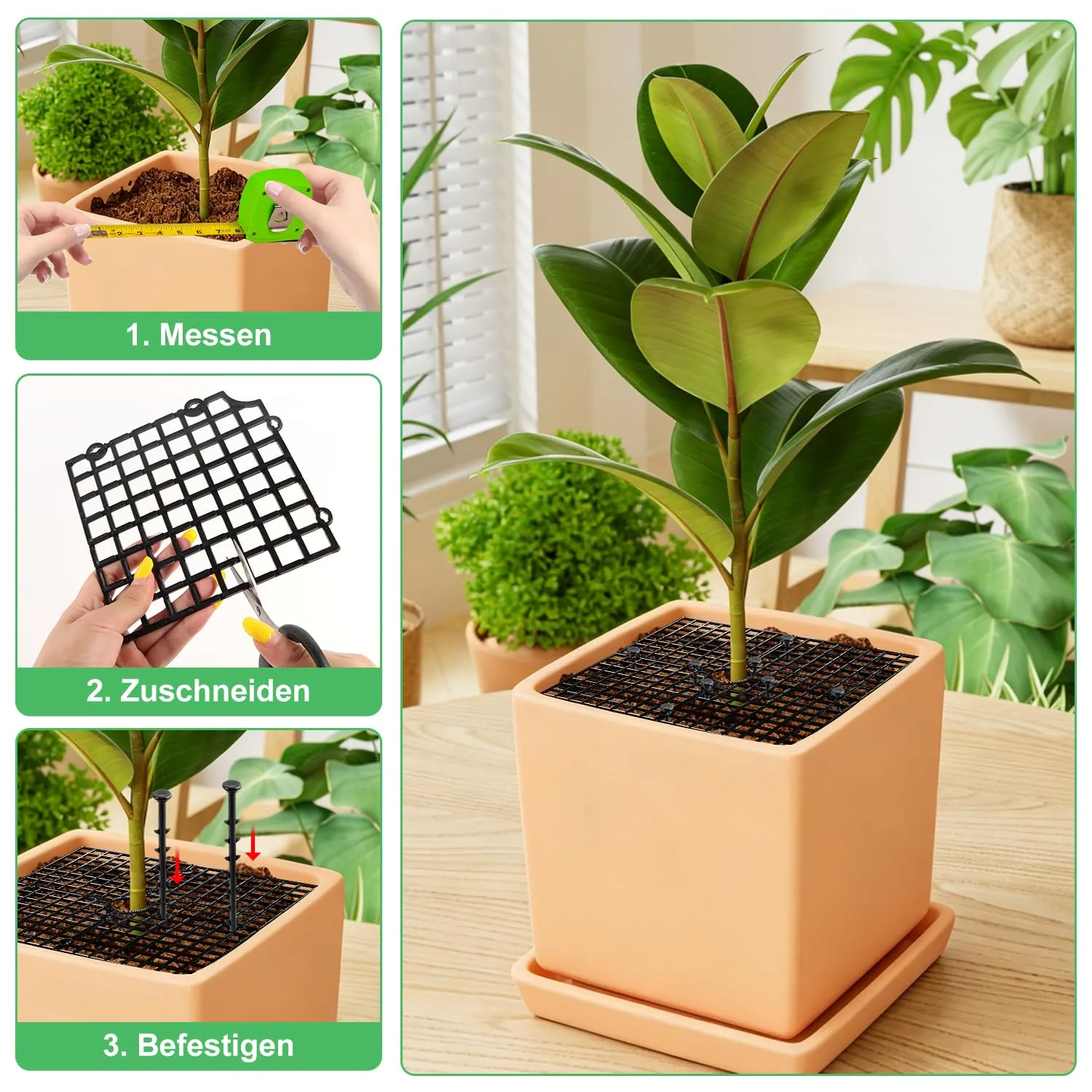 BSTDAYEVER Griglia per Vasi da Fiori Griglia Protezione per Piante 30cm 2Pz - immagine 4