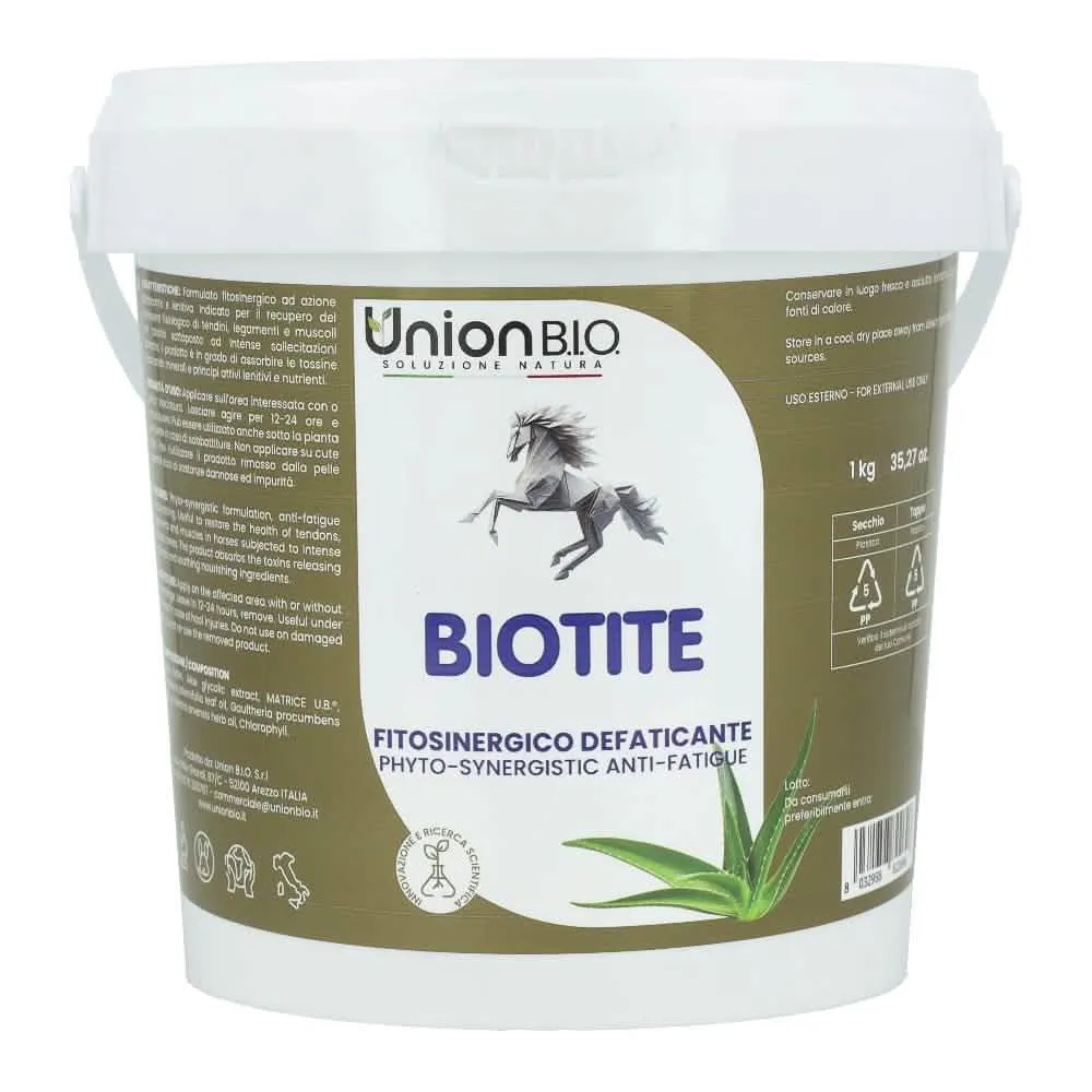 Biotite 1 kg - immagine 1