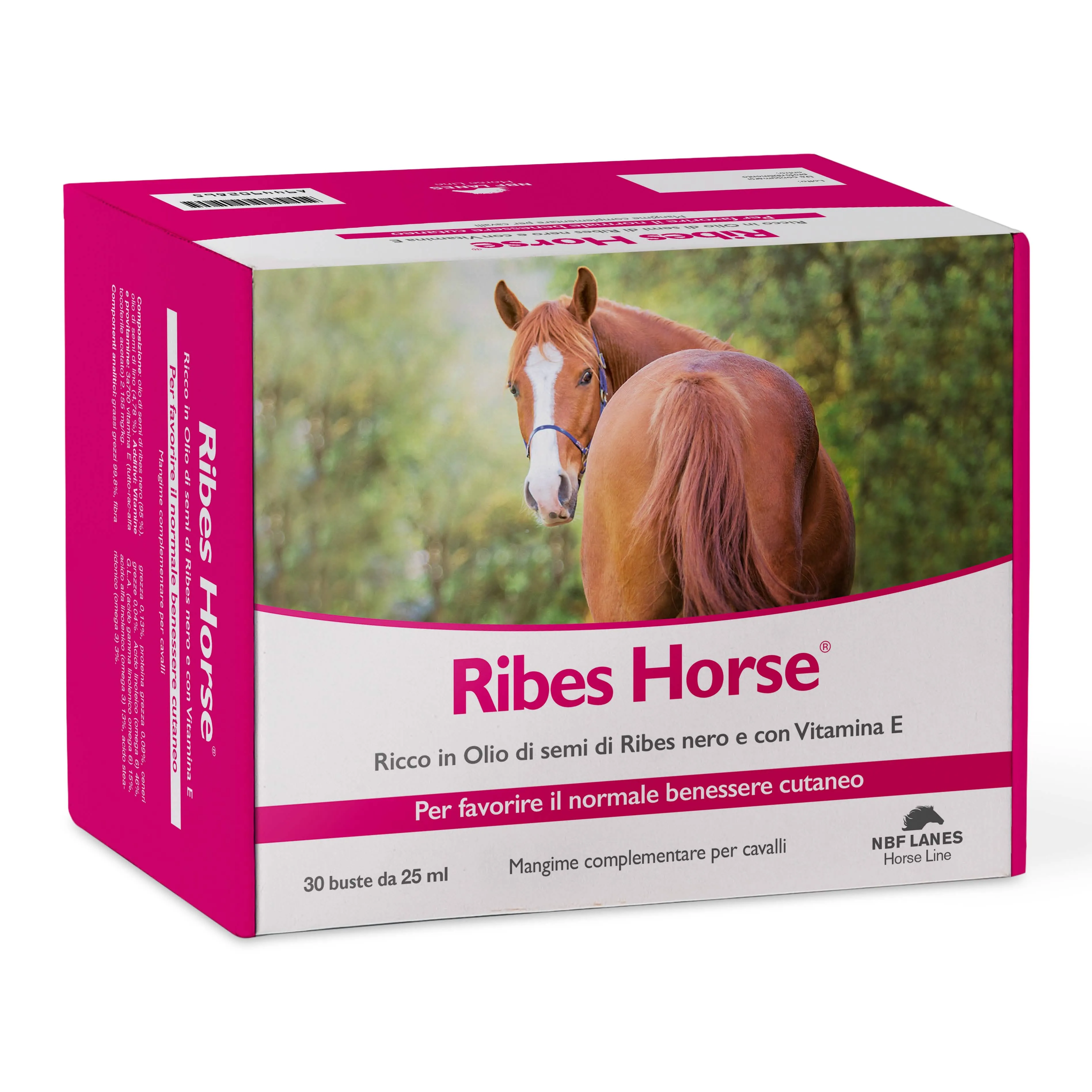 Ribes horse 30 buste - immagine 1