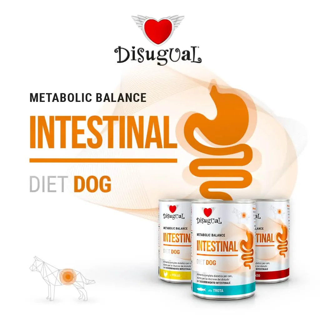 DISUGUAL Cane Diet Intestinal Pollo 400 gr - immagine 1