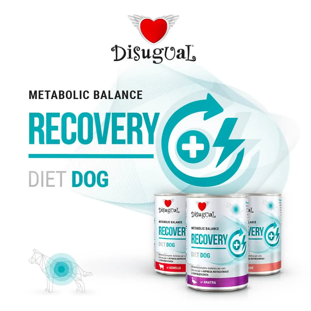 DISUGUAL CANE DIET RECOVERY AGNELLO 400 GR - immagine 1