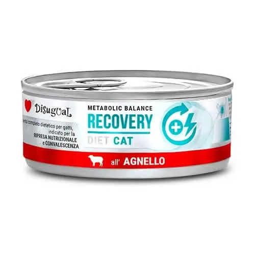 DISUGUAL GATTO DIET RECOVERY AGNELLO 85 GR - immagine 1
