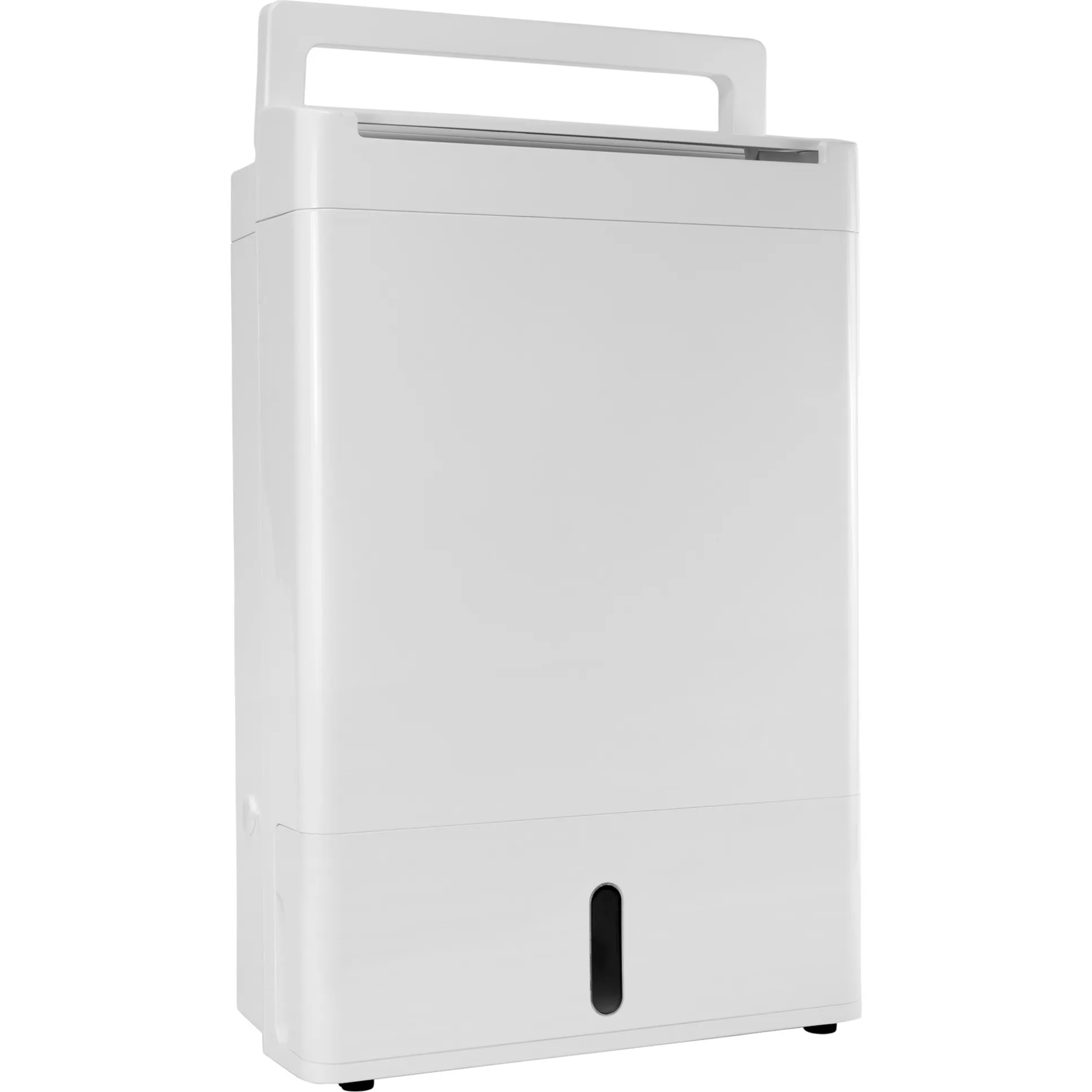 Deumidificatore DD8L Zambezi, con ionizzatore e nano-filtro - immagine 1