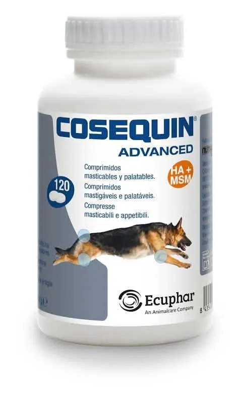 Cosequin Advanced Cane 120 compresse | Glucosamina Condroitina MSM Acido Ialuronico - immagine 1