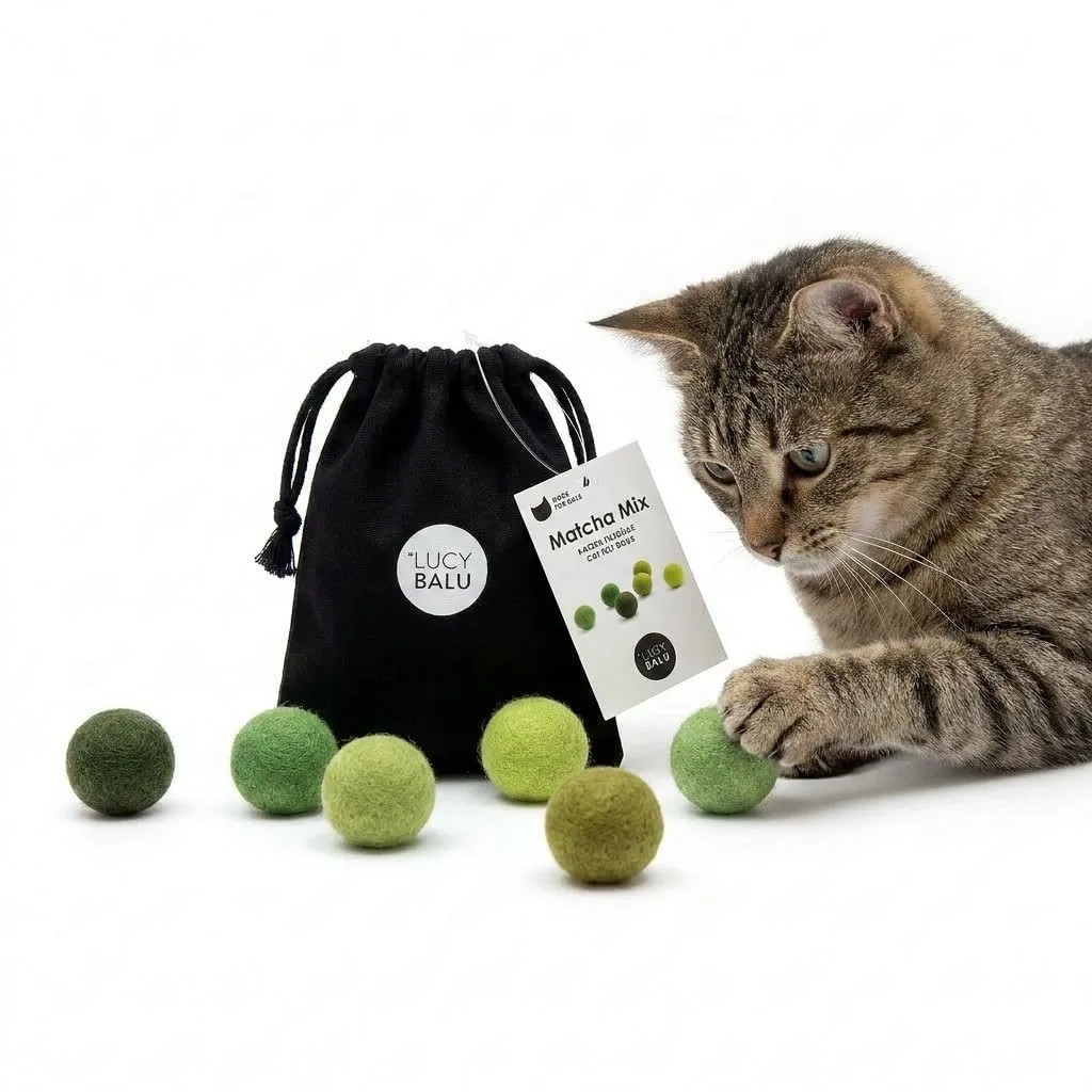 LucyBalu® Matcha Mix Set 6 palline in feltro di lana per gatti - immagine 1