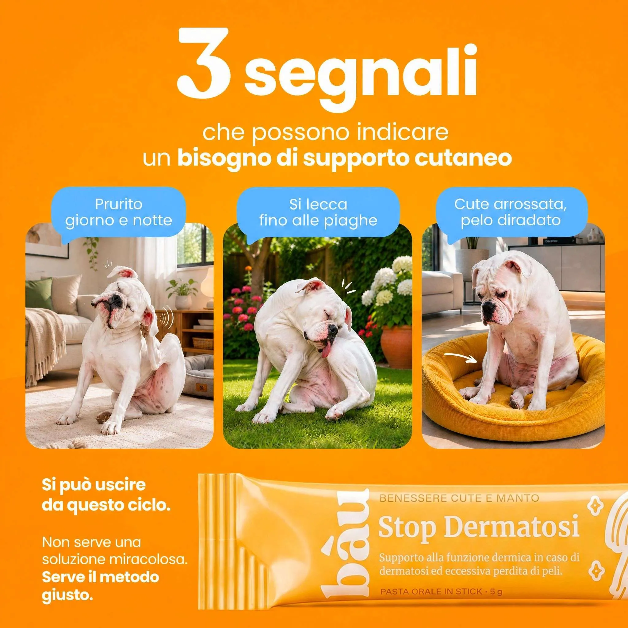 Bau Stop Dermatosi Cane e Prurito Fase Acuta, Stop Dermatite Integratore Pelle e Pelo, per Perdita Pelo, Cute Irritata, Prurito e Forfora, Supporto Funzione Dermica in 20 Sticks Appetibili - immagine 2