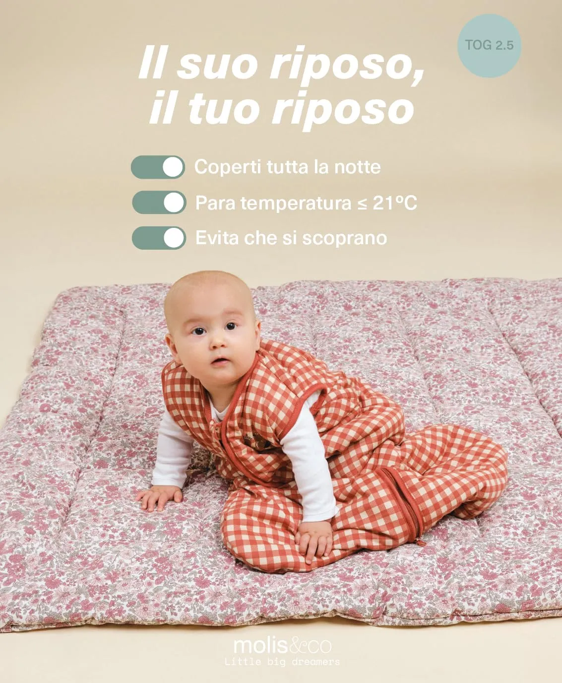 molis&co - Sacco Nanna - Sacco nanna invernale per Neonati e Bambini - Sacchi Nanna 2.5 tog - 100% Cotone (Oeko-TEX 100) - Vichy Clay (0 a 6 mesi) - immagine 5
