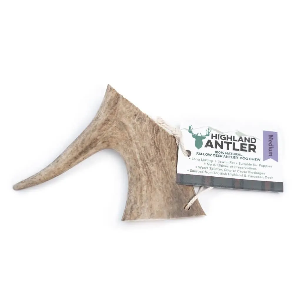HIGHLAND ANTLER FALLOW CANE SNACK CORNA DI DAINO TG. MEDIUM - immagine 1
