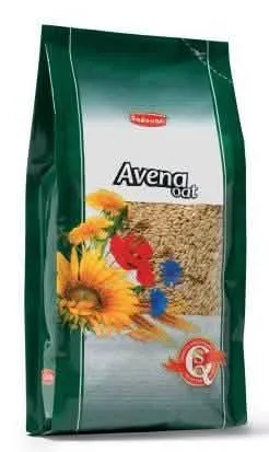 PADOVAN AVENA DECORTICATA 1 KG - immagine 1